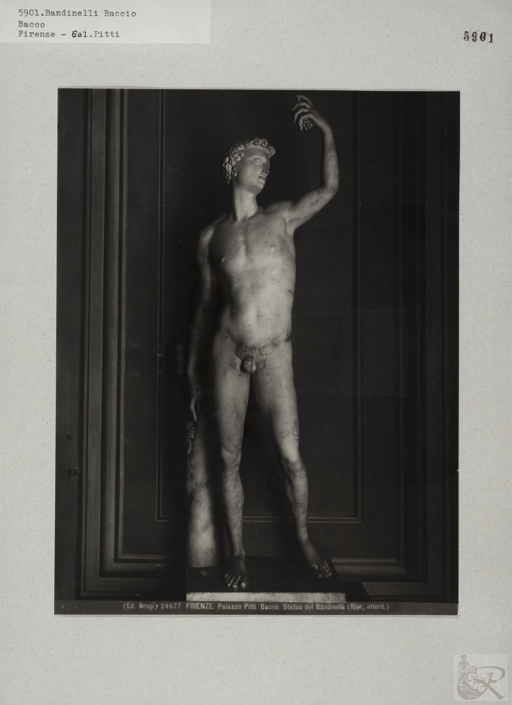 Immagine di anteprima