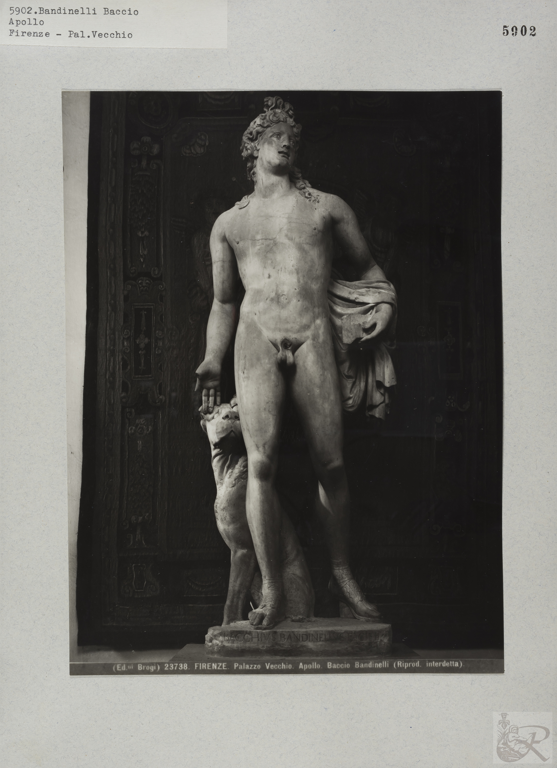 Immagine di anteprima