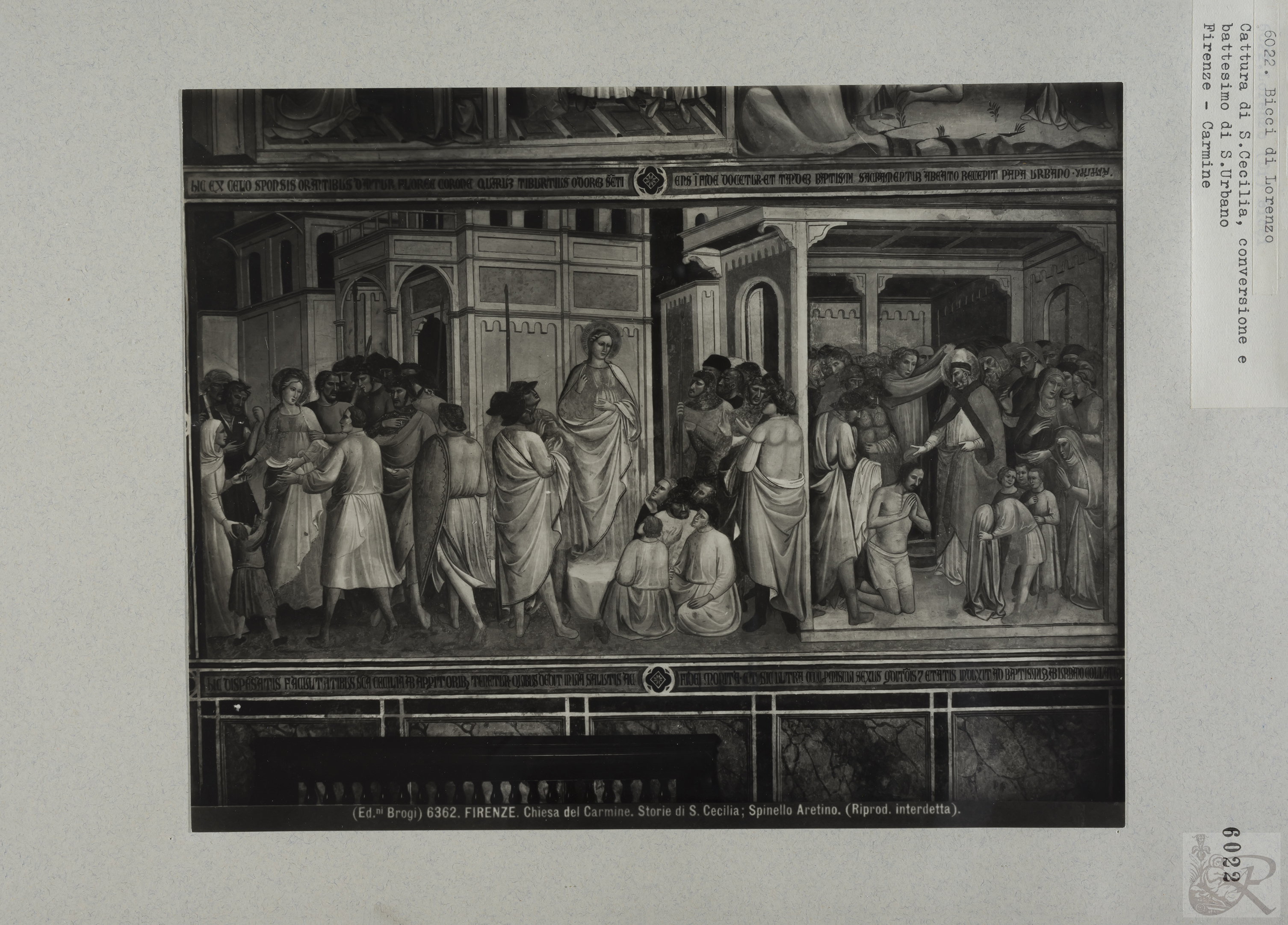 Immagine di anteprima