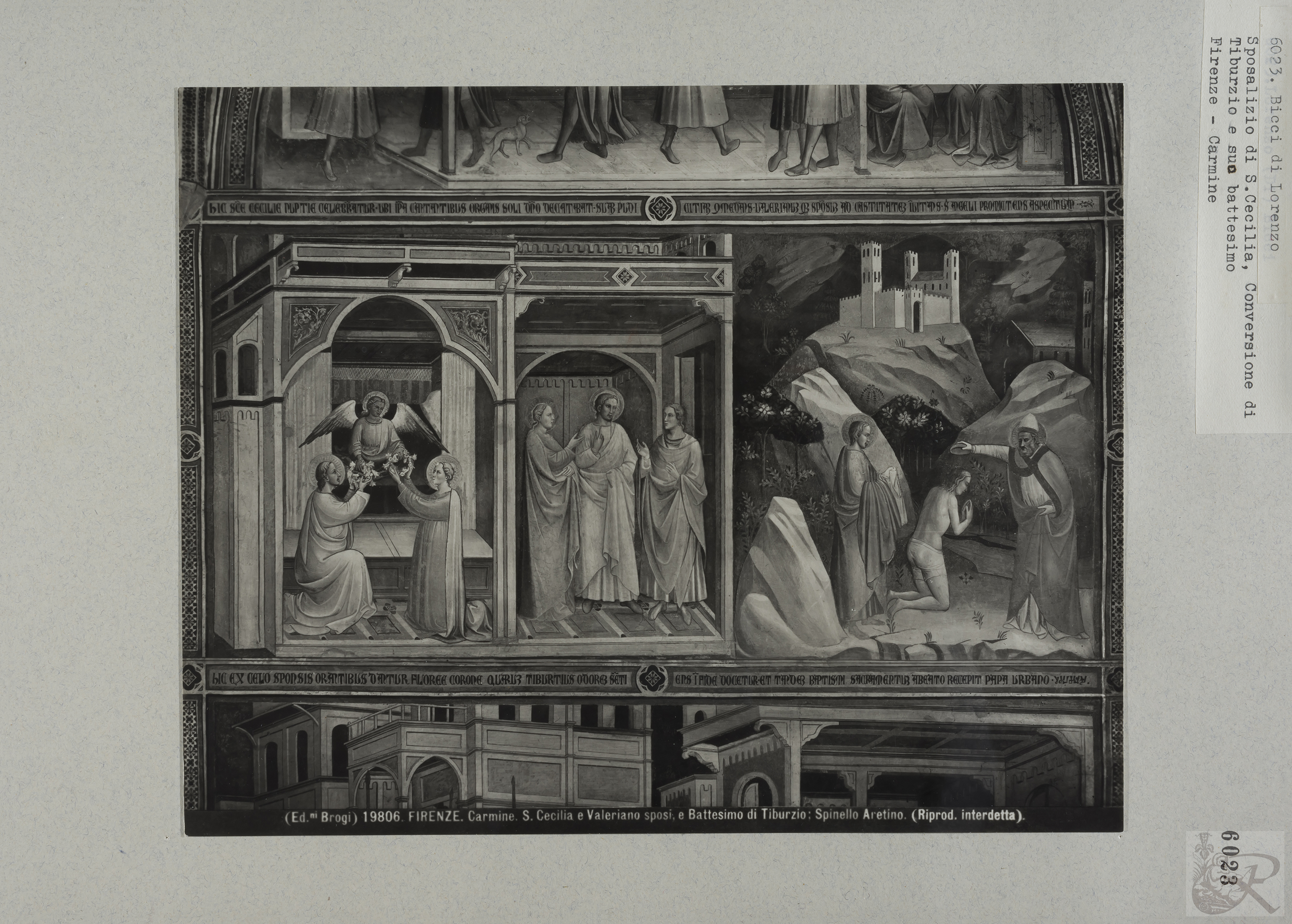 Immagine di anteprima