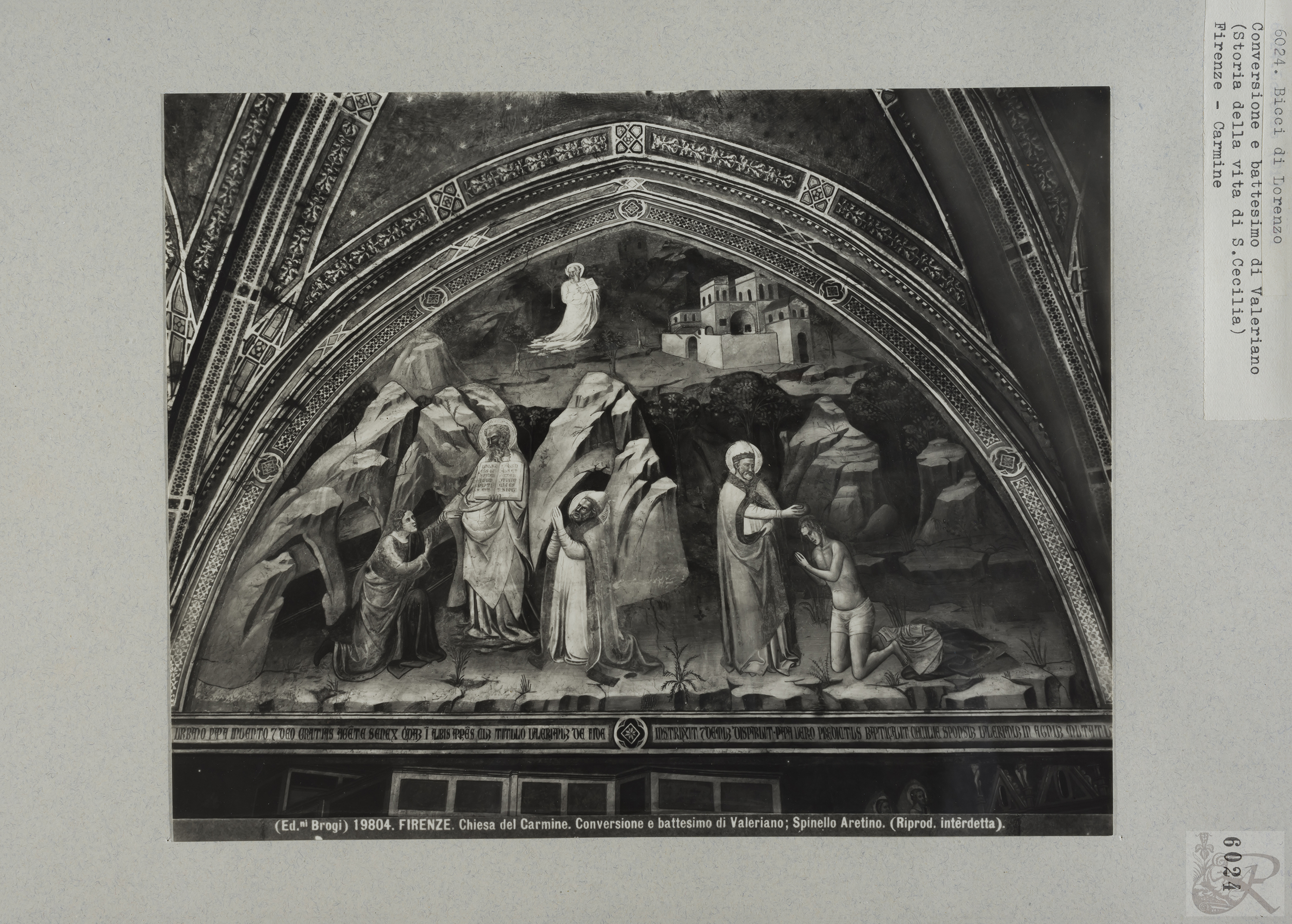 Immagine di anteprima