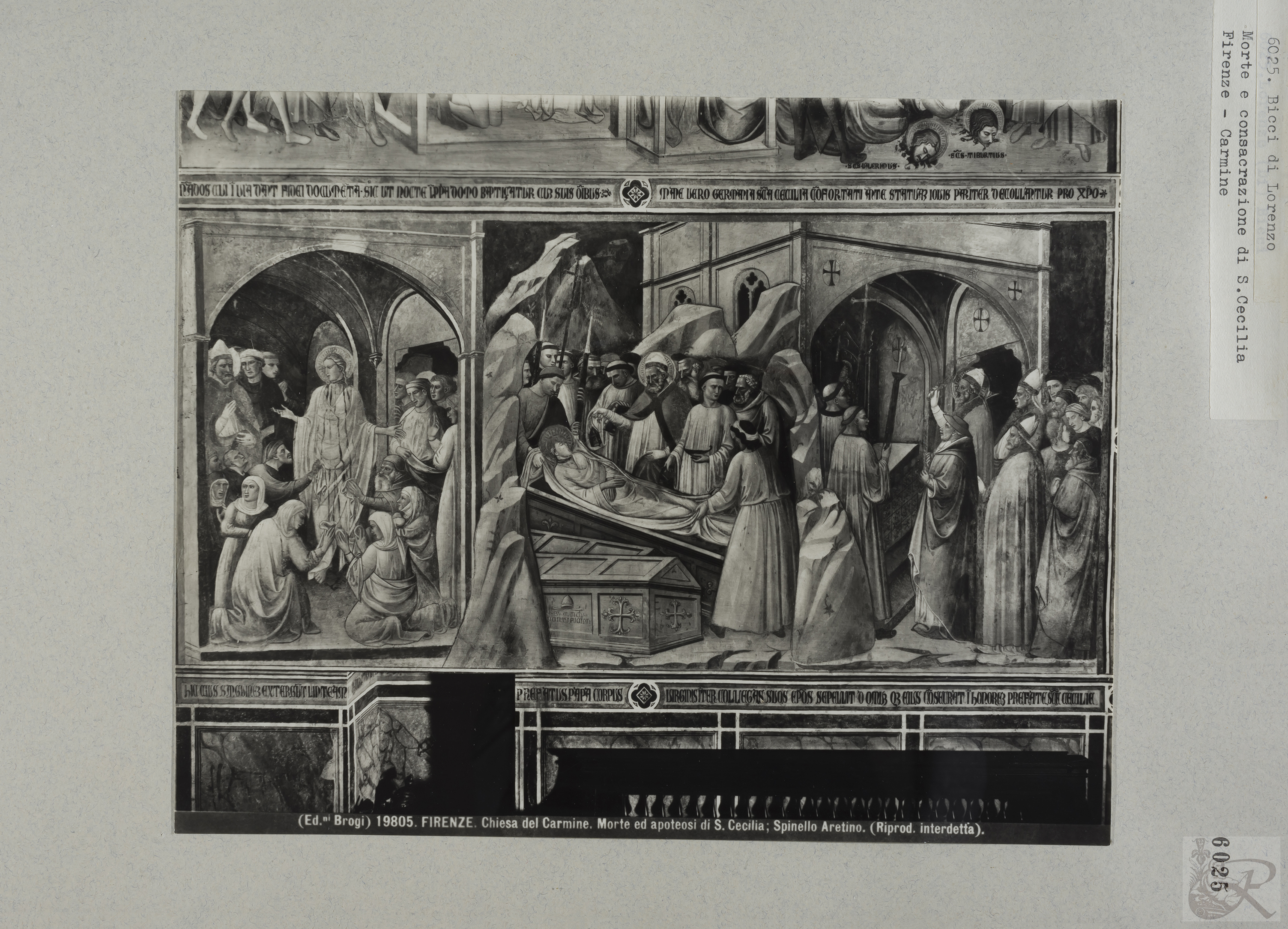 Immagine di anteprima