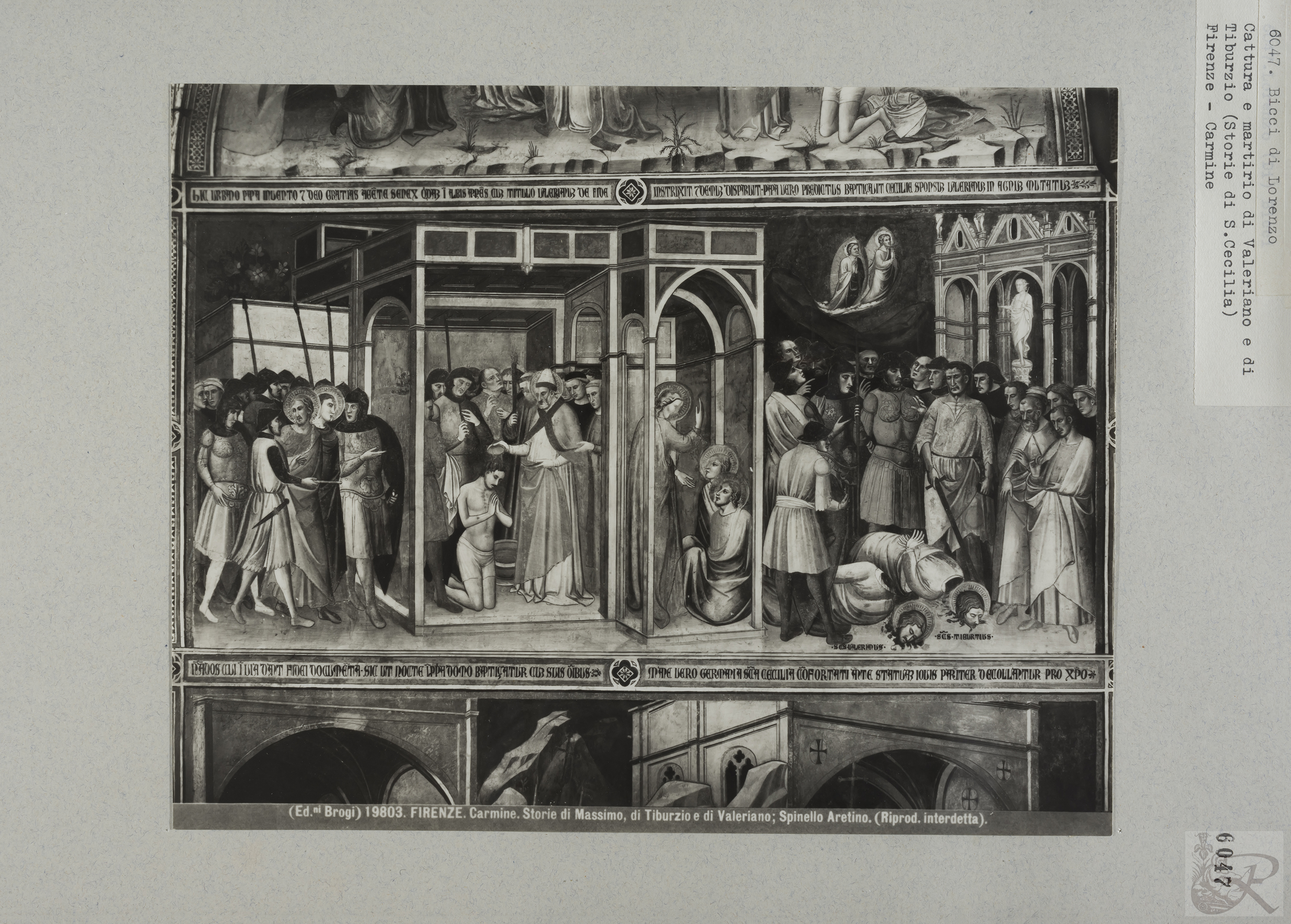 Immagine di anteprima