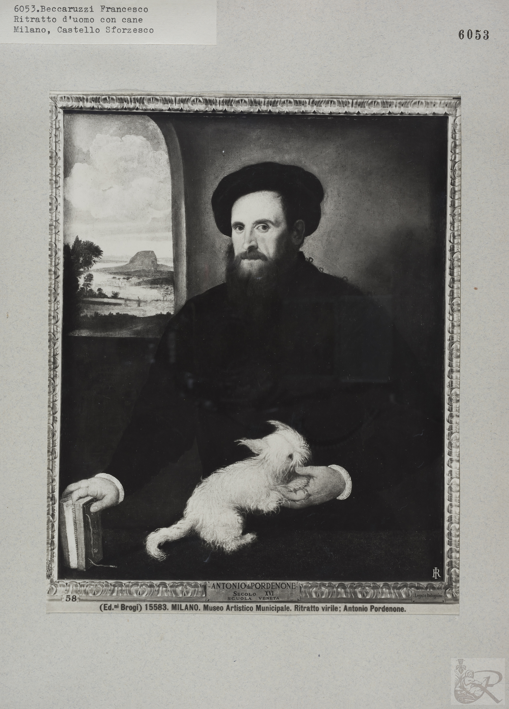 Immagine di anteprima