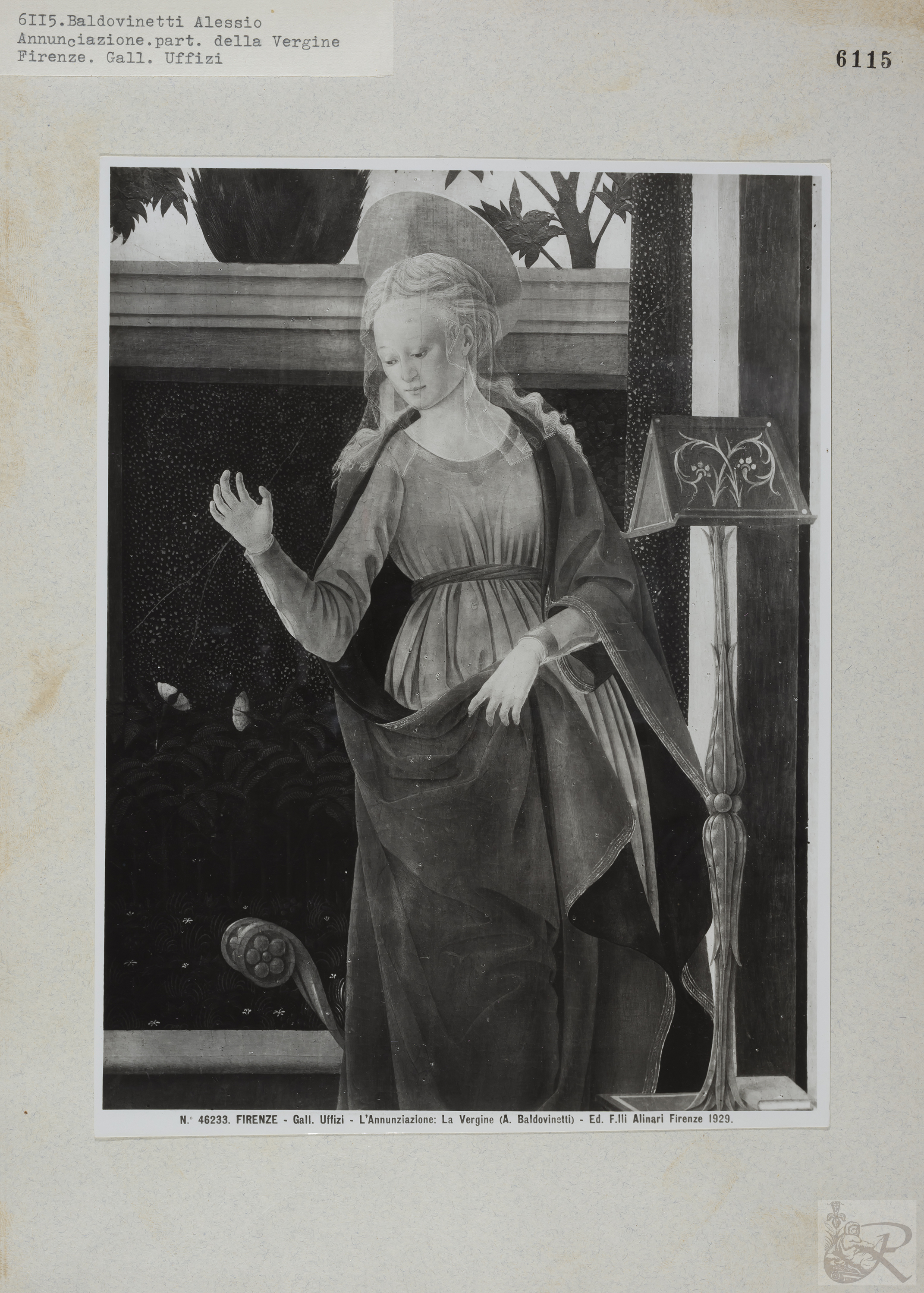 Immagine di anteprima