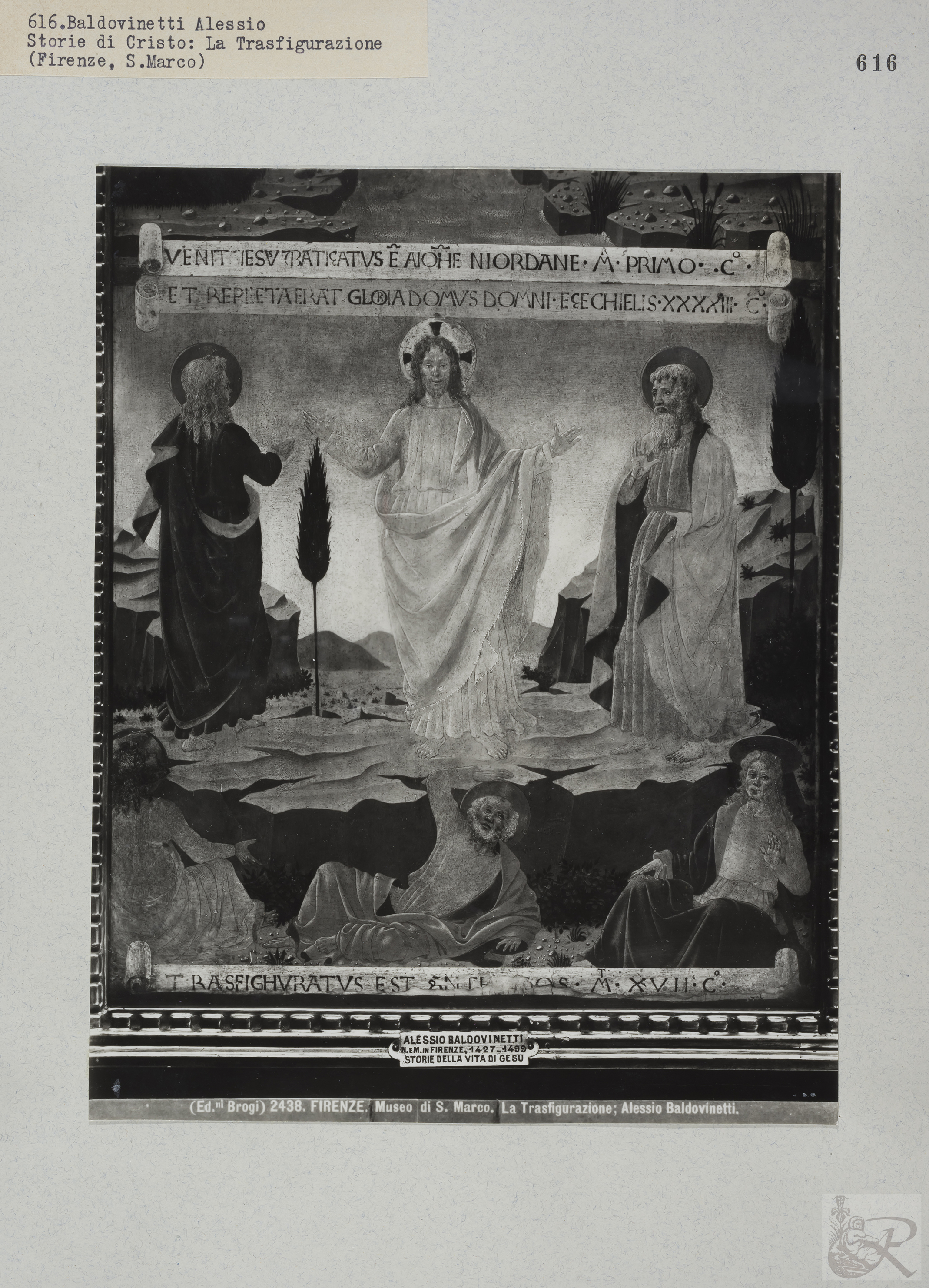 Immagine di anteprima