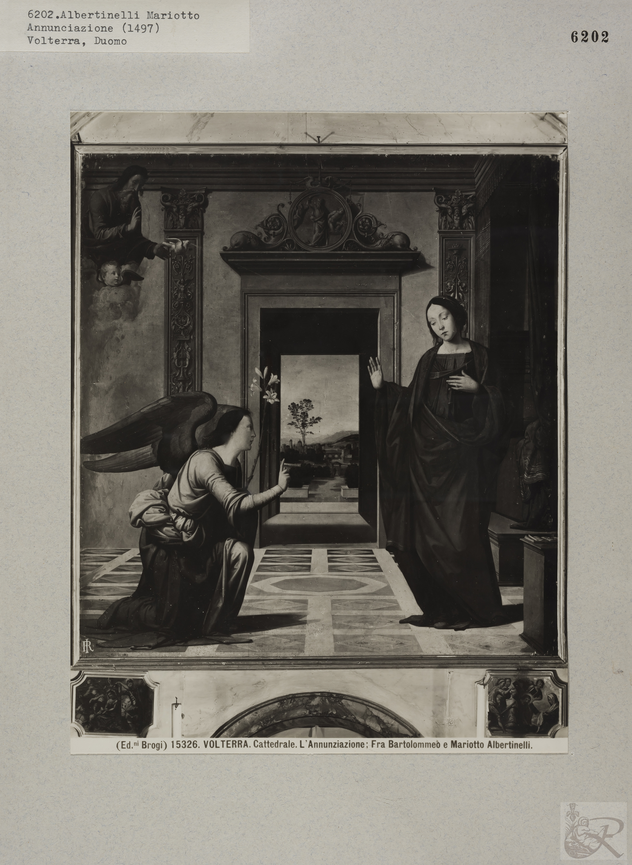 Immagine di anteprima