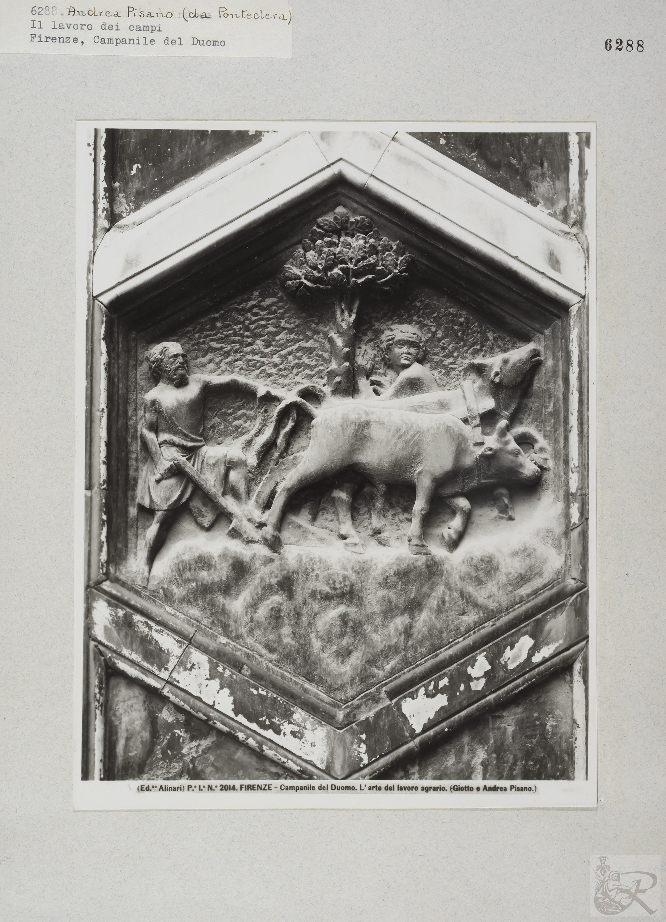 Immagine di anteprima