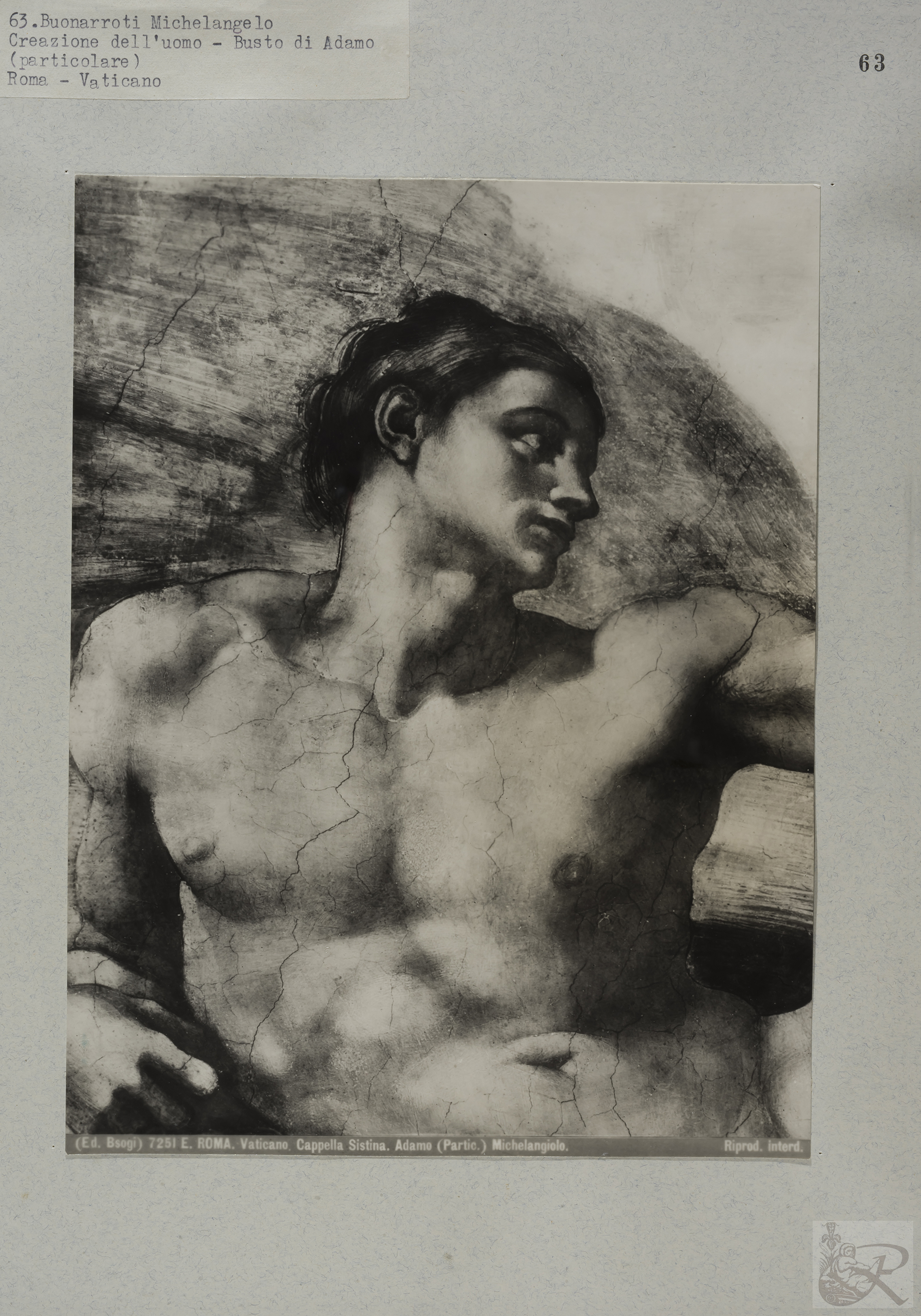 Immagine di anteprima