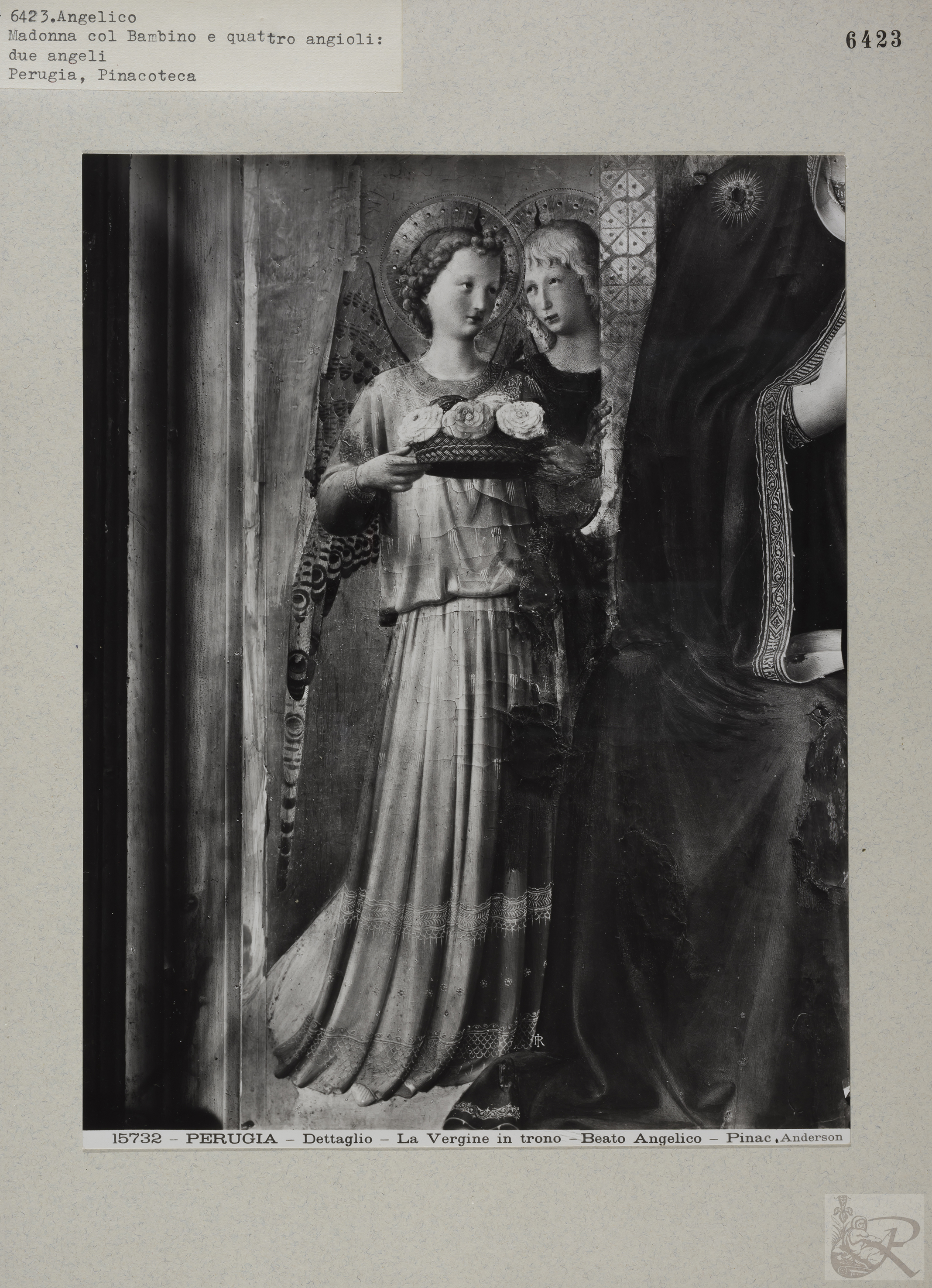 Immagine di anteprima