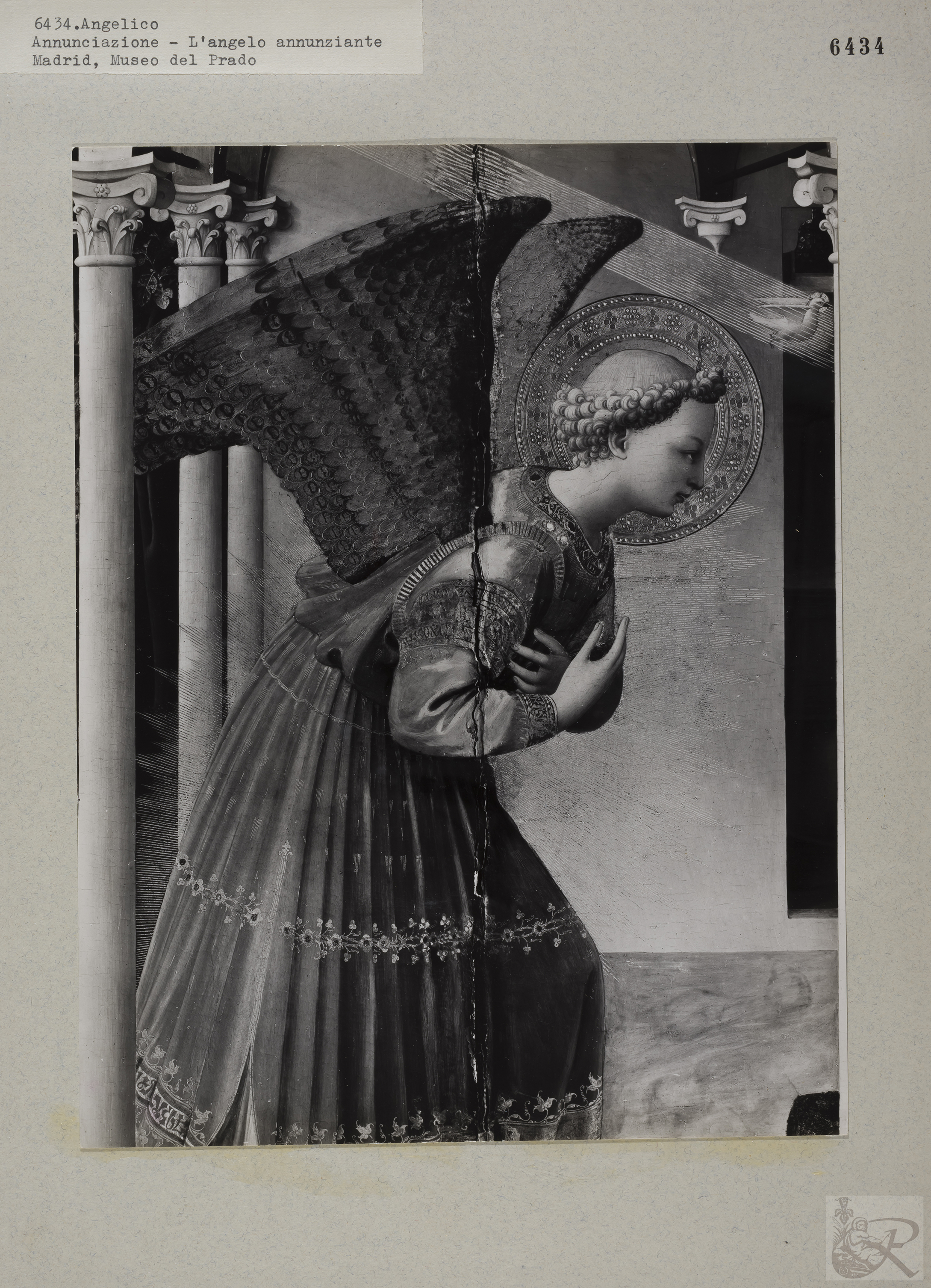 Immagine di anteprima