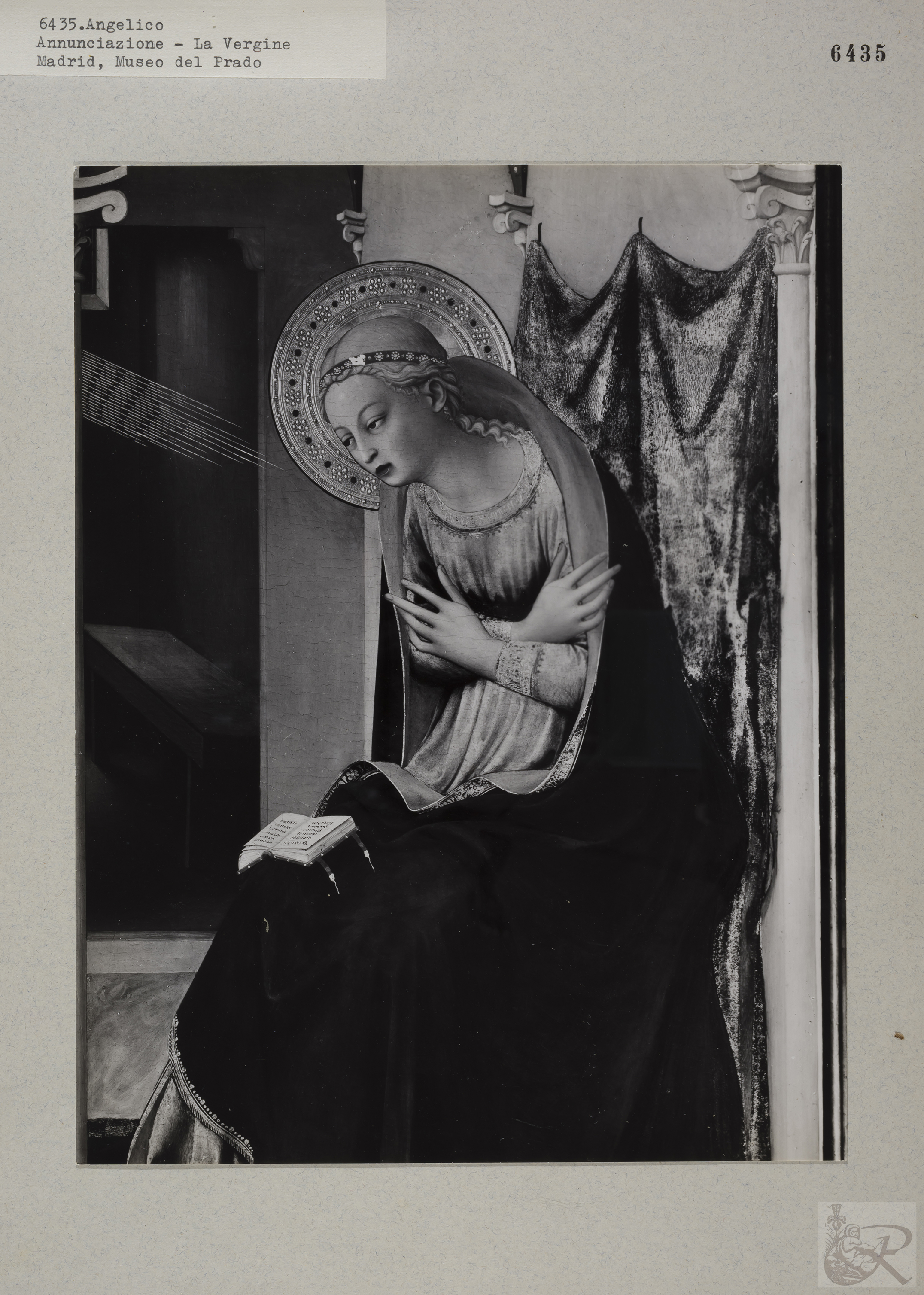 Immagine di anteprima