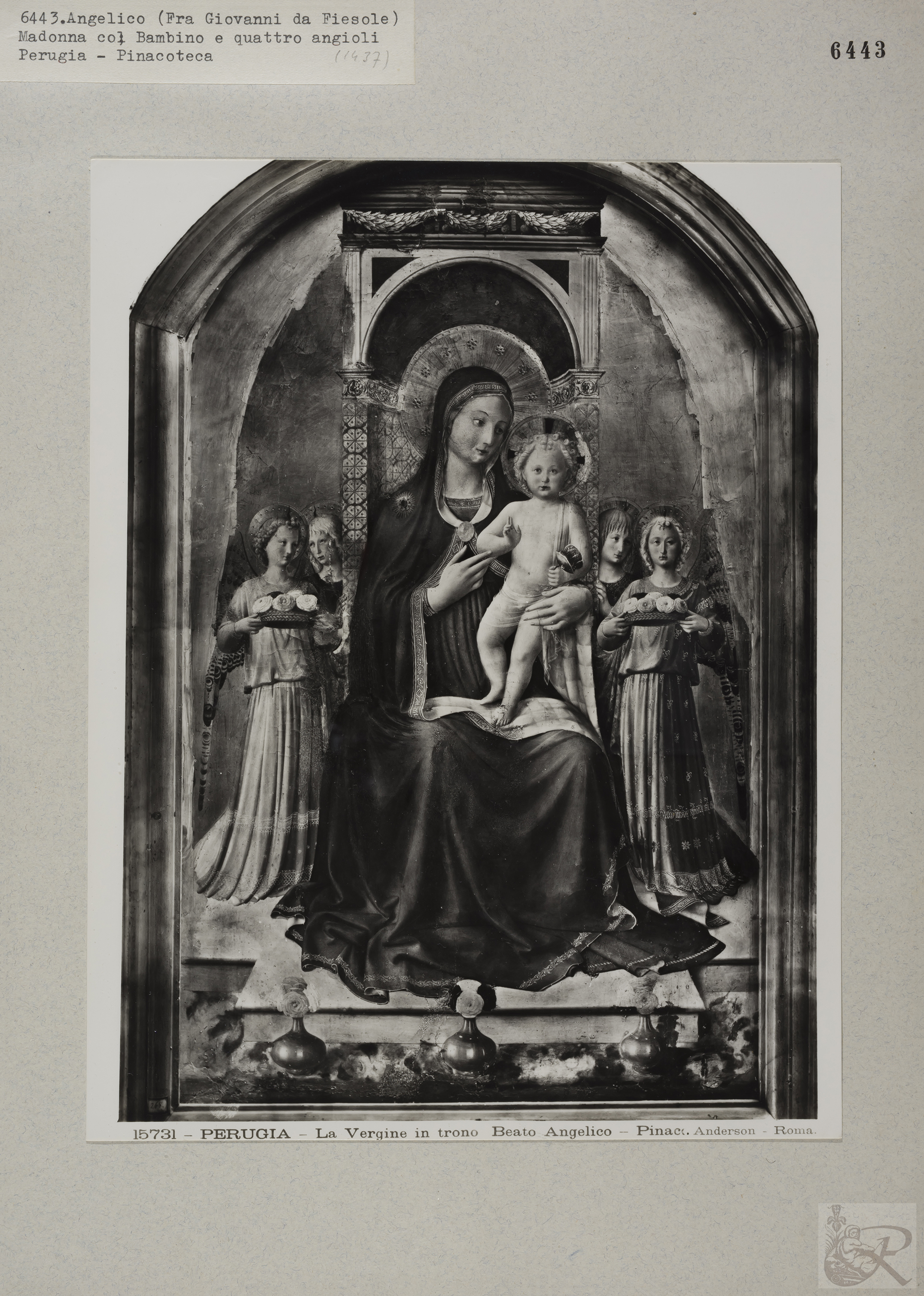 Immagine di anteprima