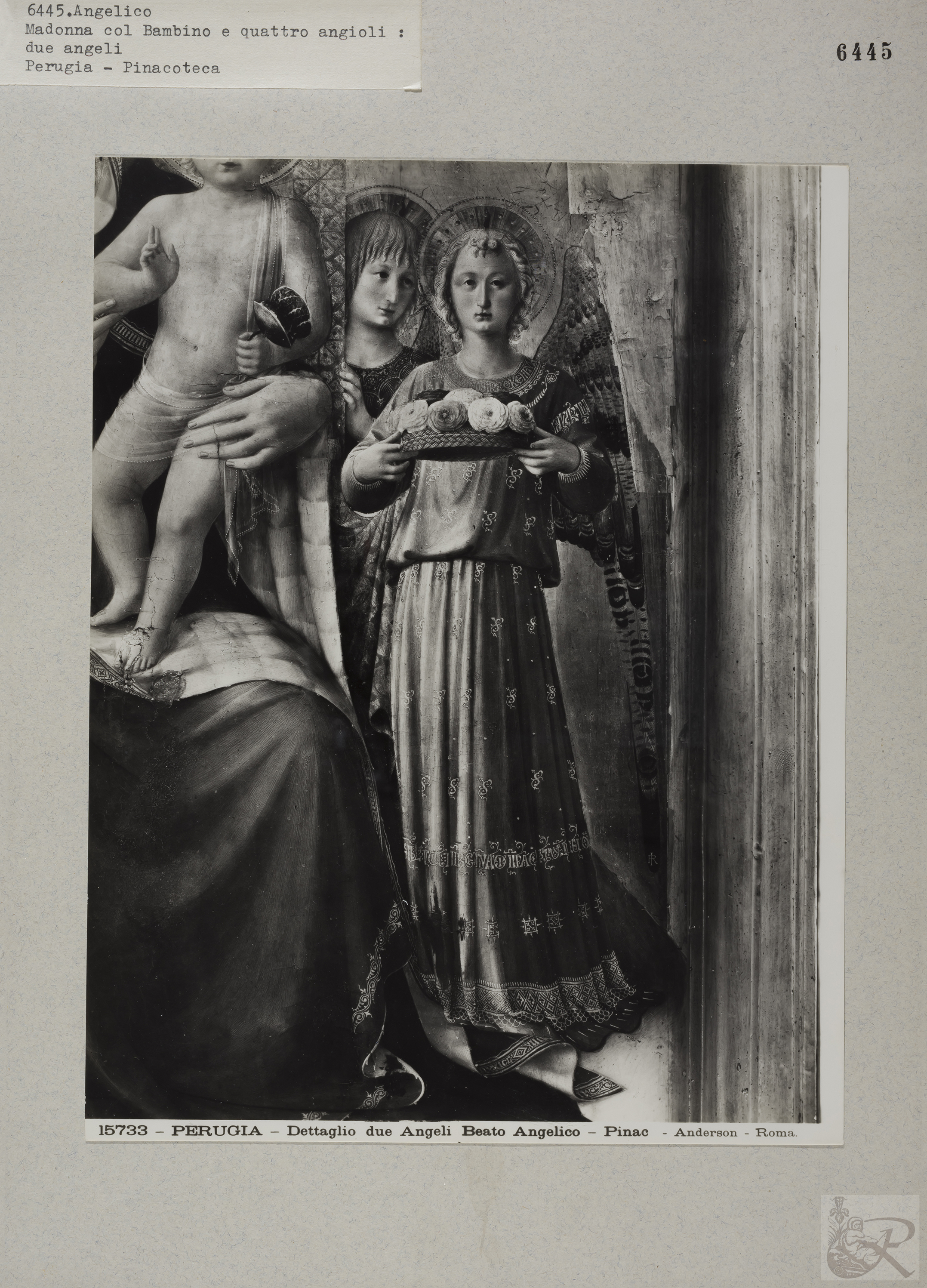 Immagine di anteprima