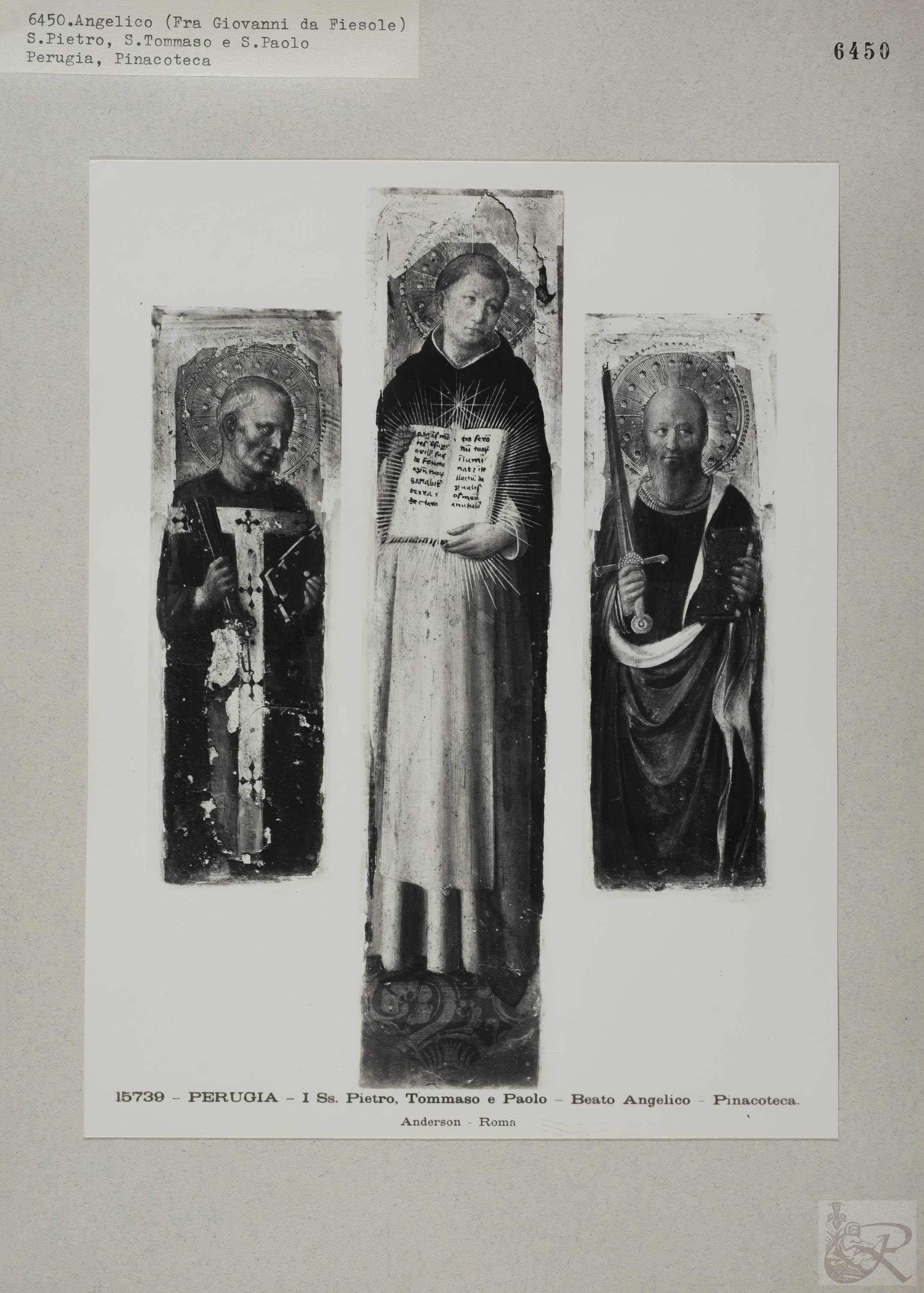 Immagine di anteprima