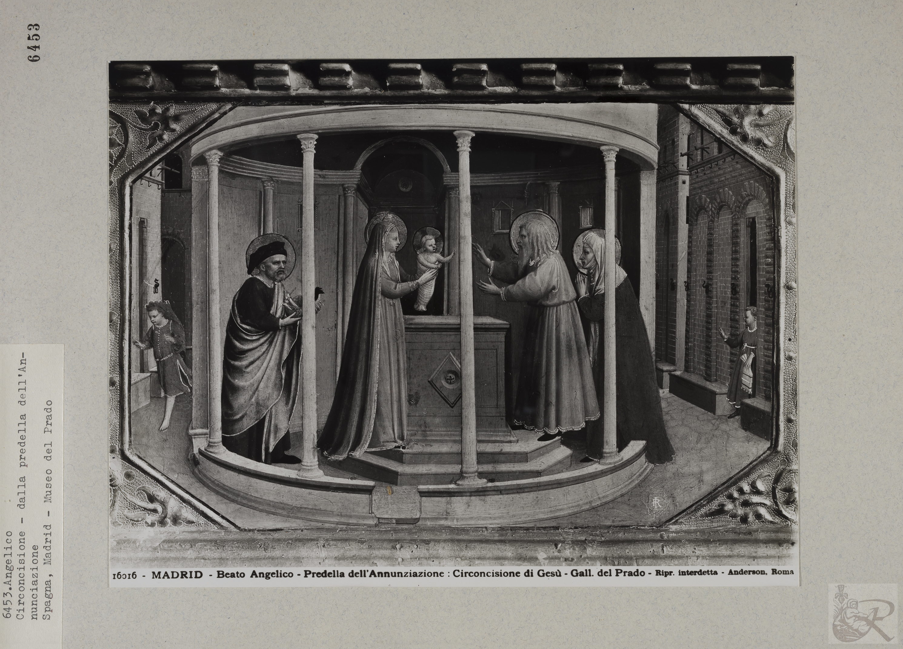 Immagine di anteprima