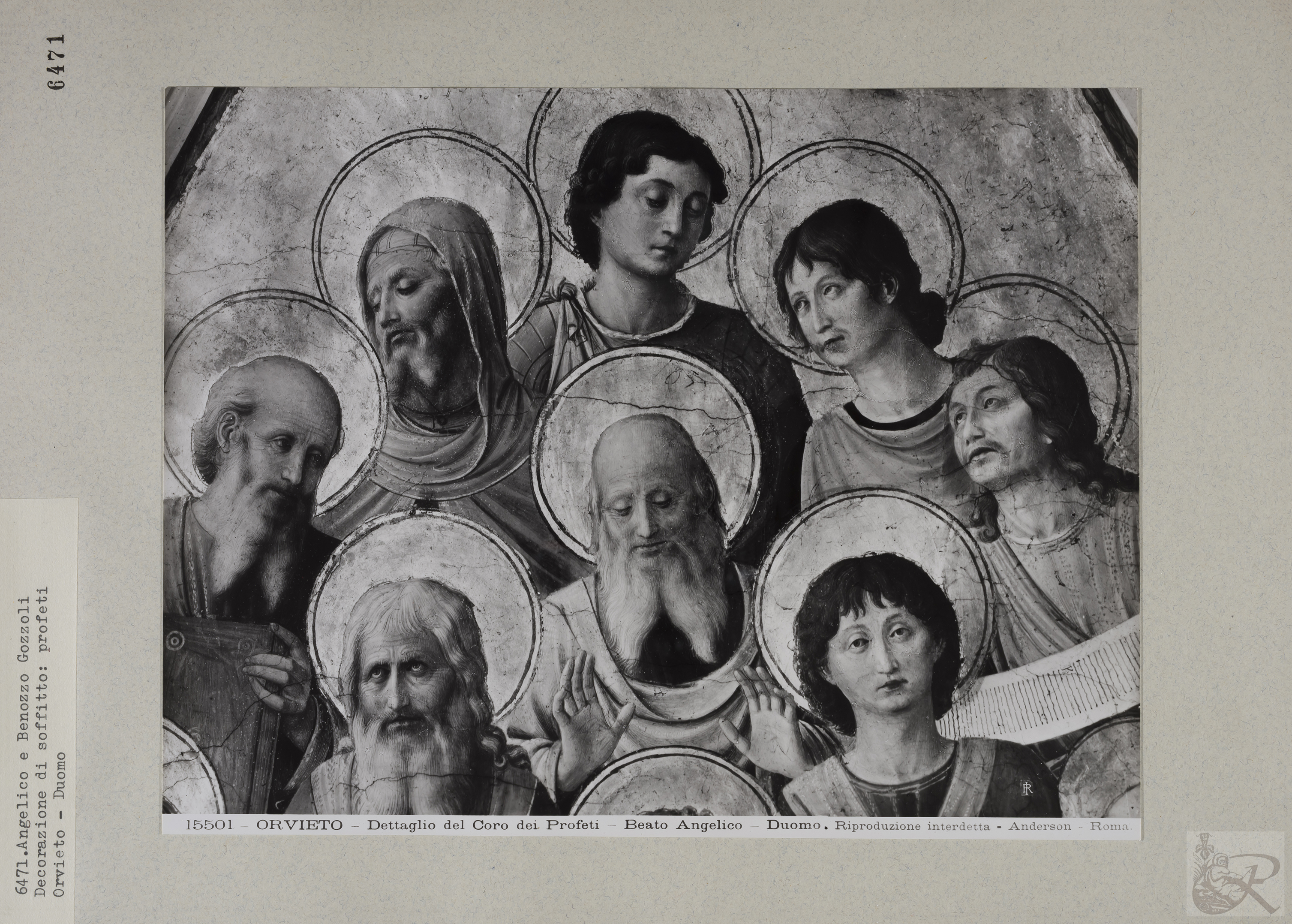 Immagine di anteprima