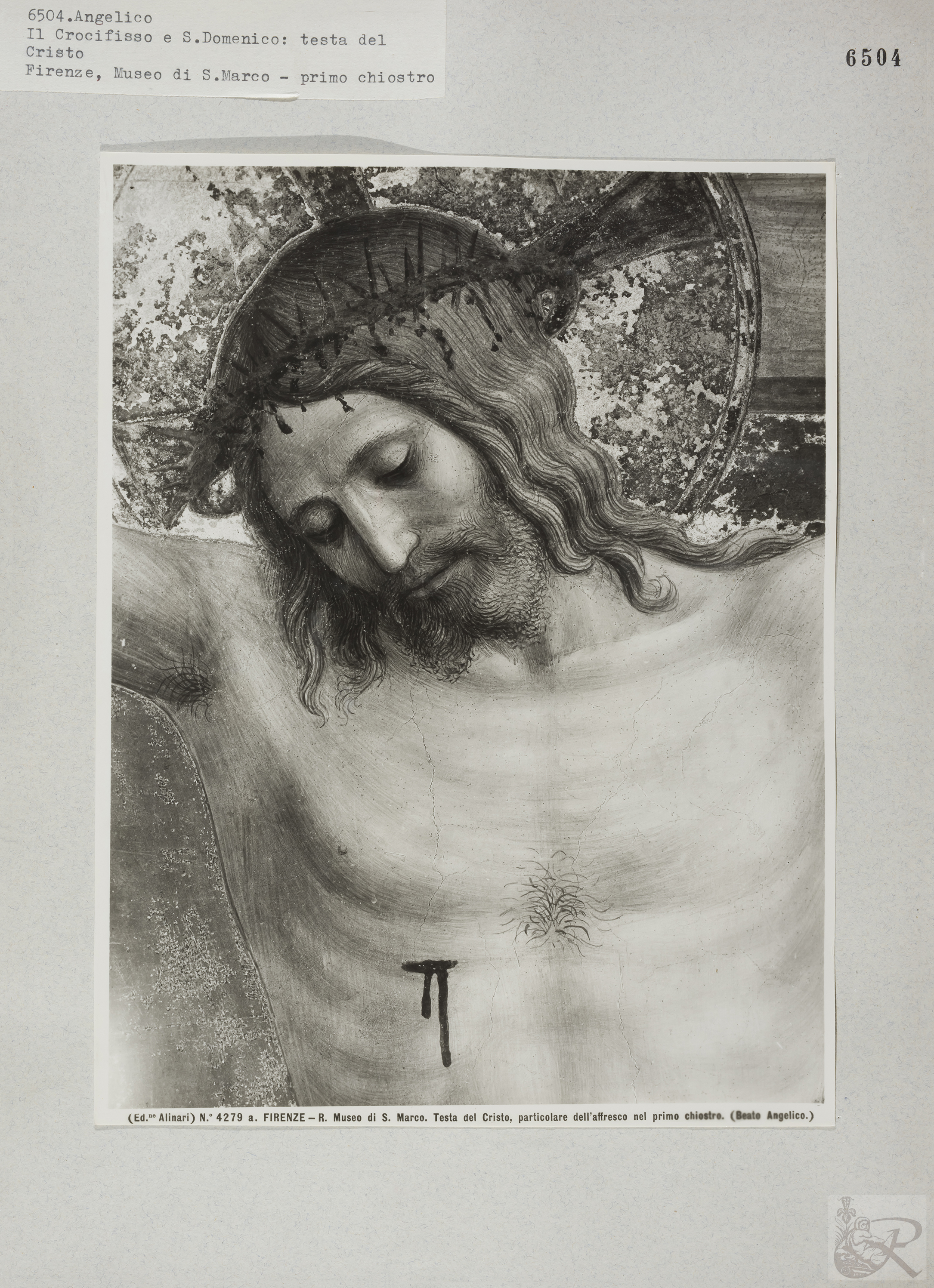 Immagine di anteprima