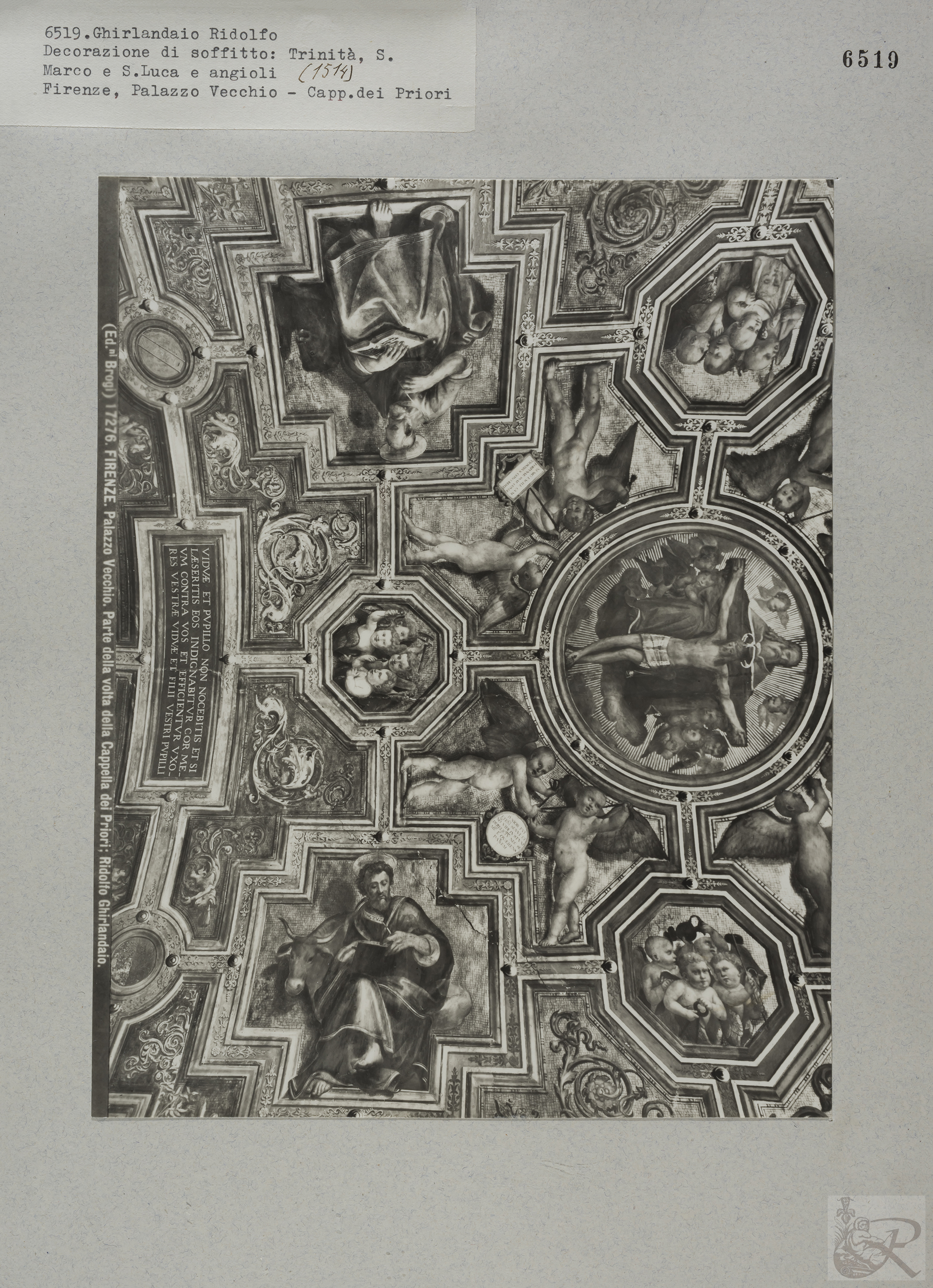 Immagine di anteprima