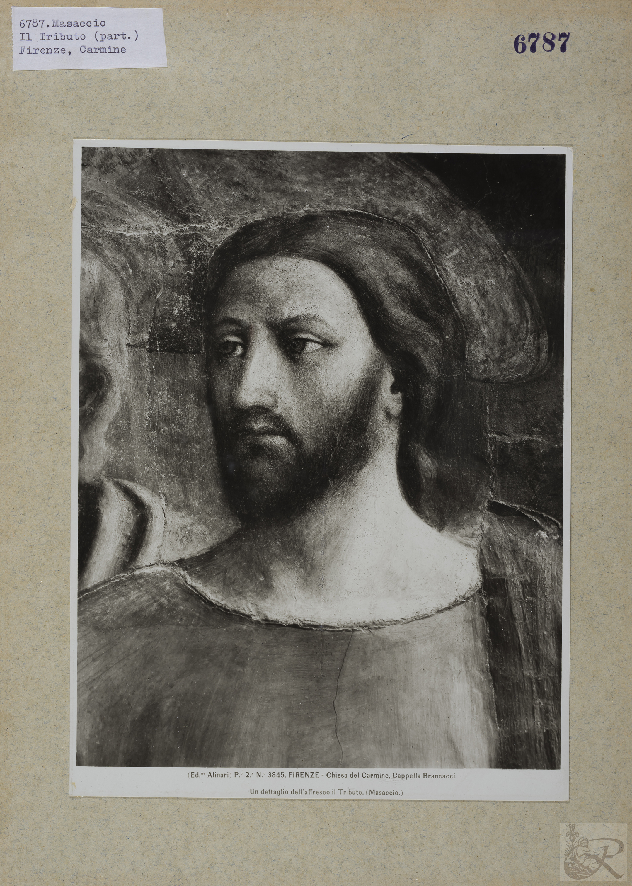 Immagine di anteprima