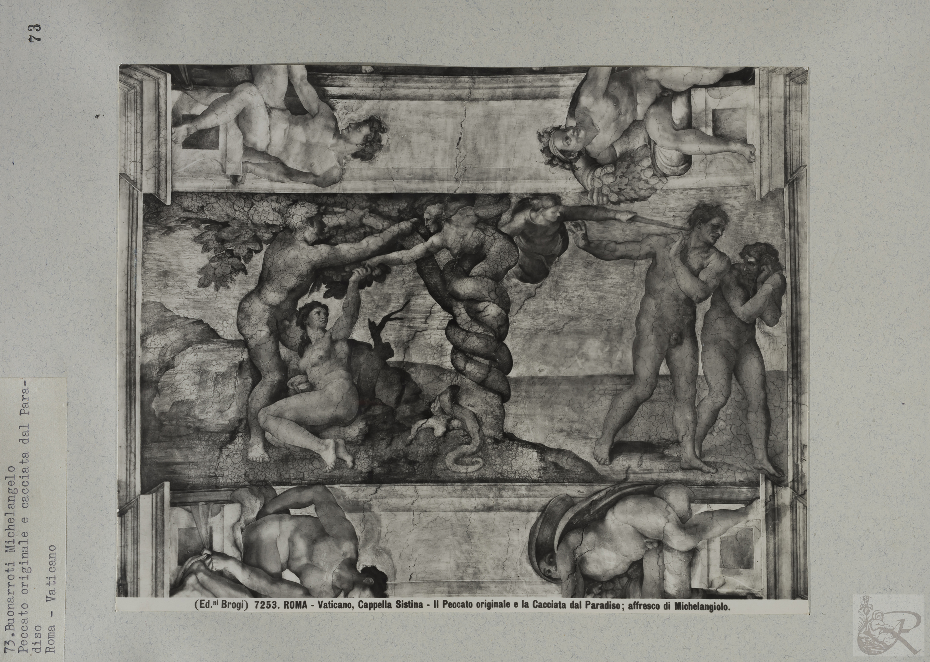 Immagine di anteprima