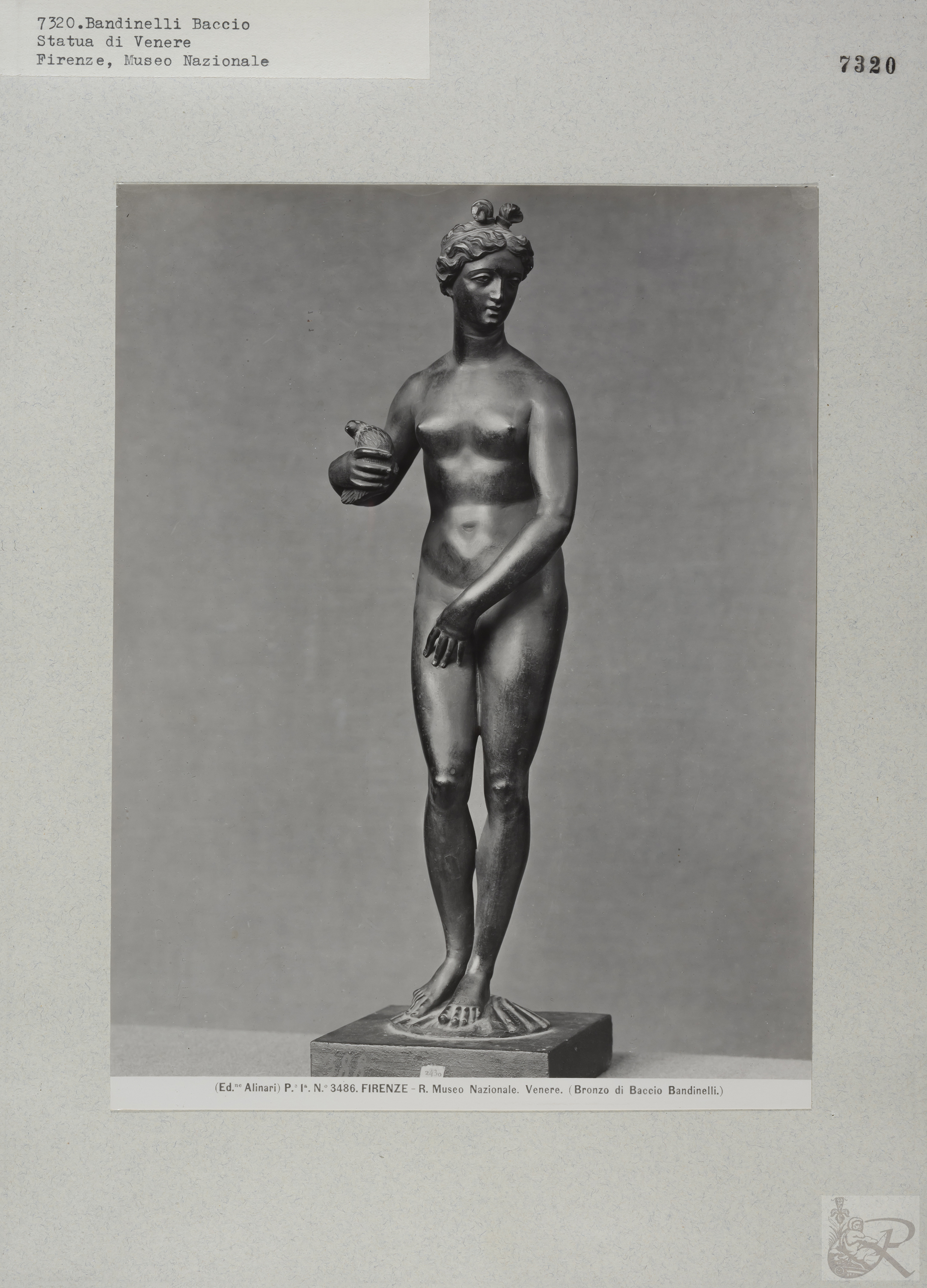 Immagine di anteprima