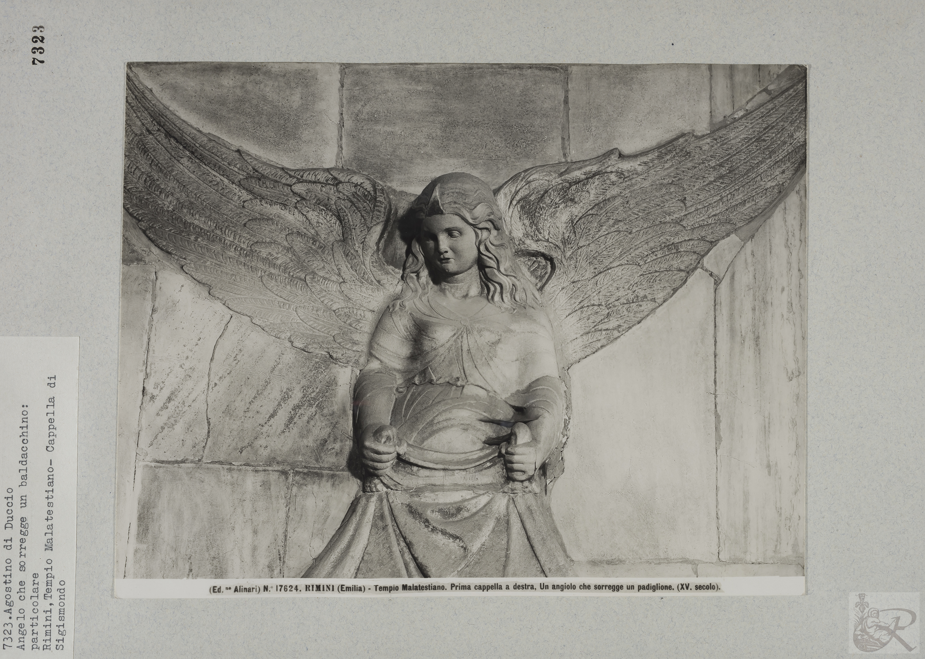 Immagine di anteprima