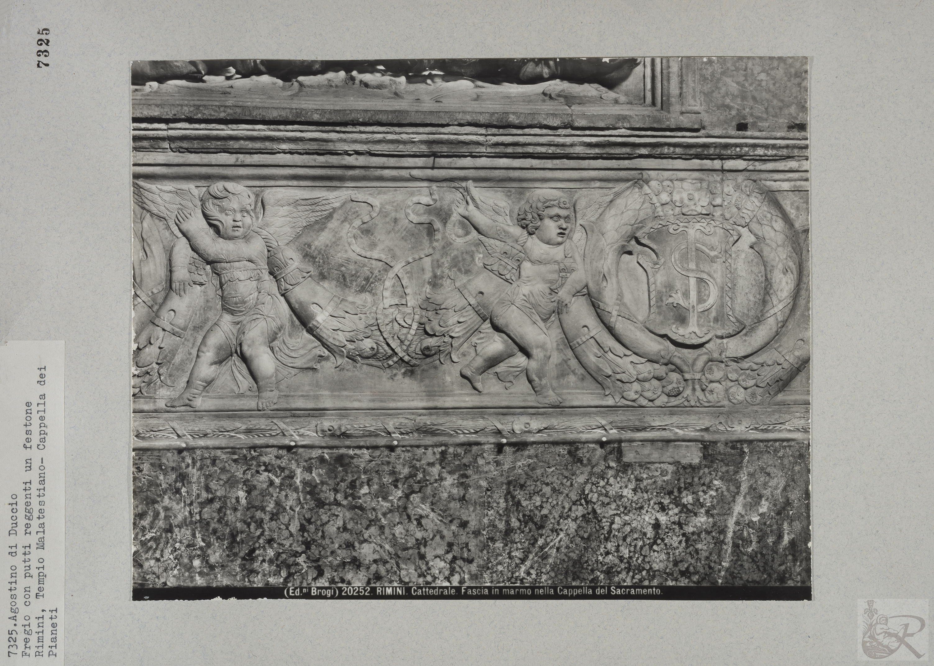 Immagine di anteprima