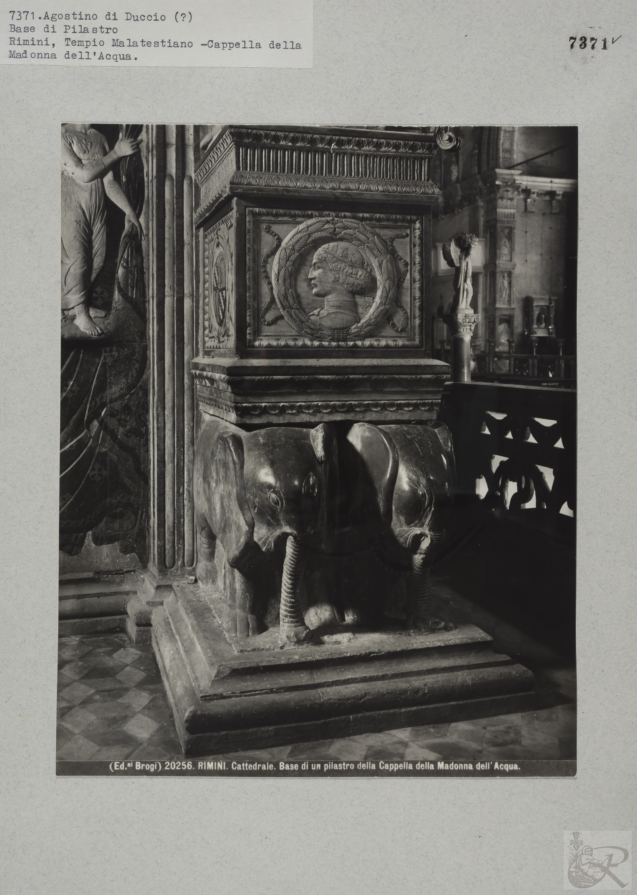 Immagine di anteprima