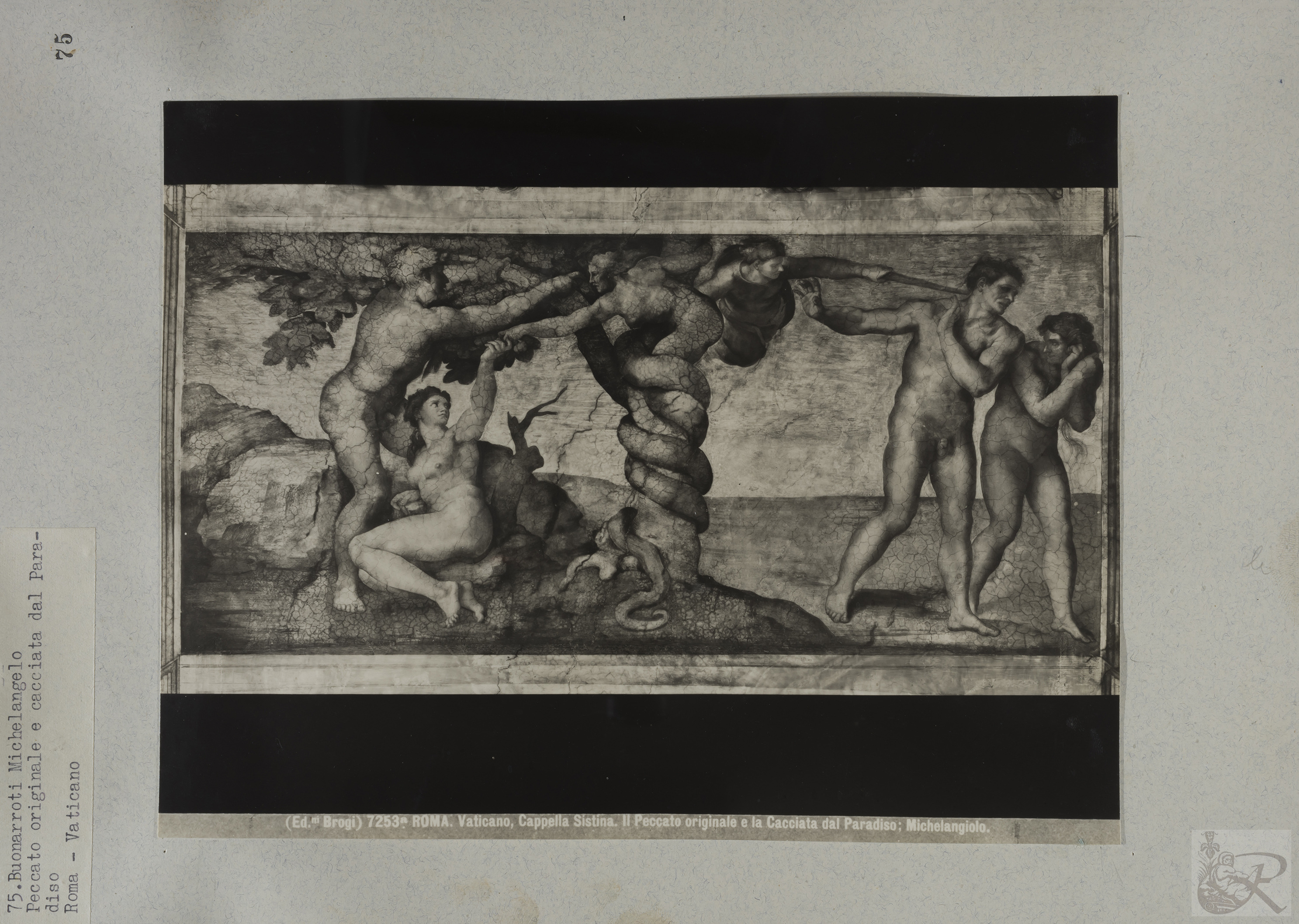 Immagine di anteprima