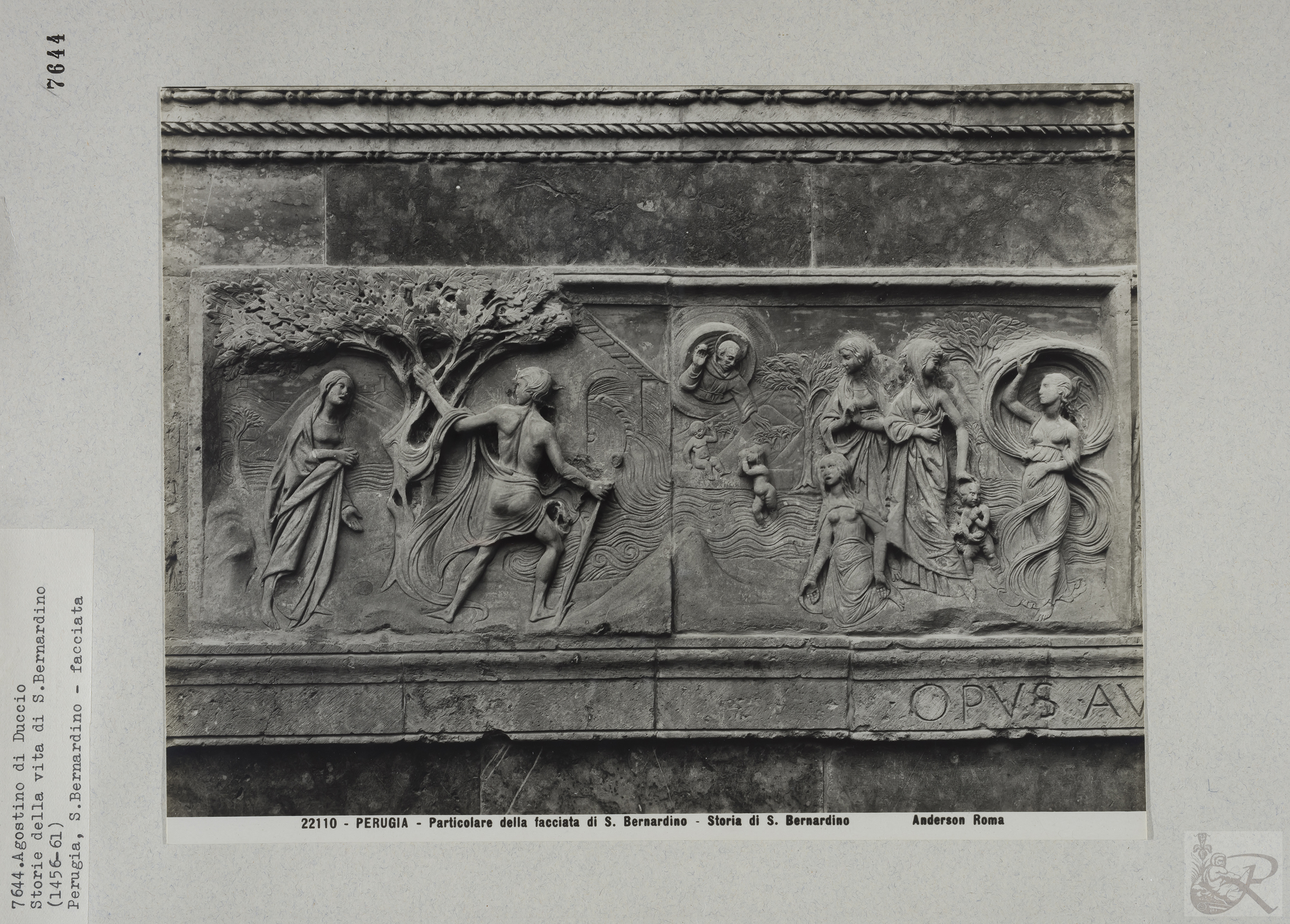 Immagine di anteprima