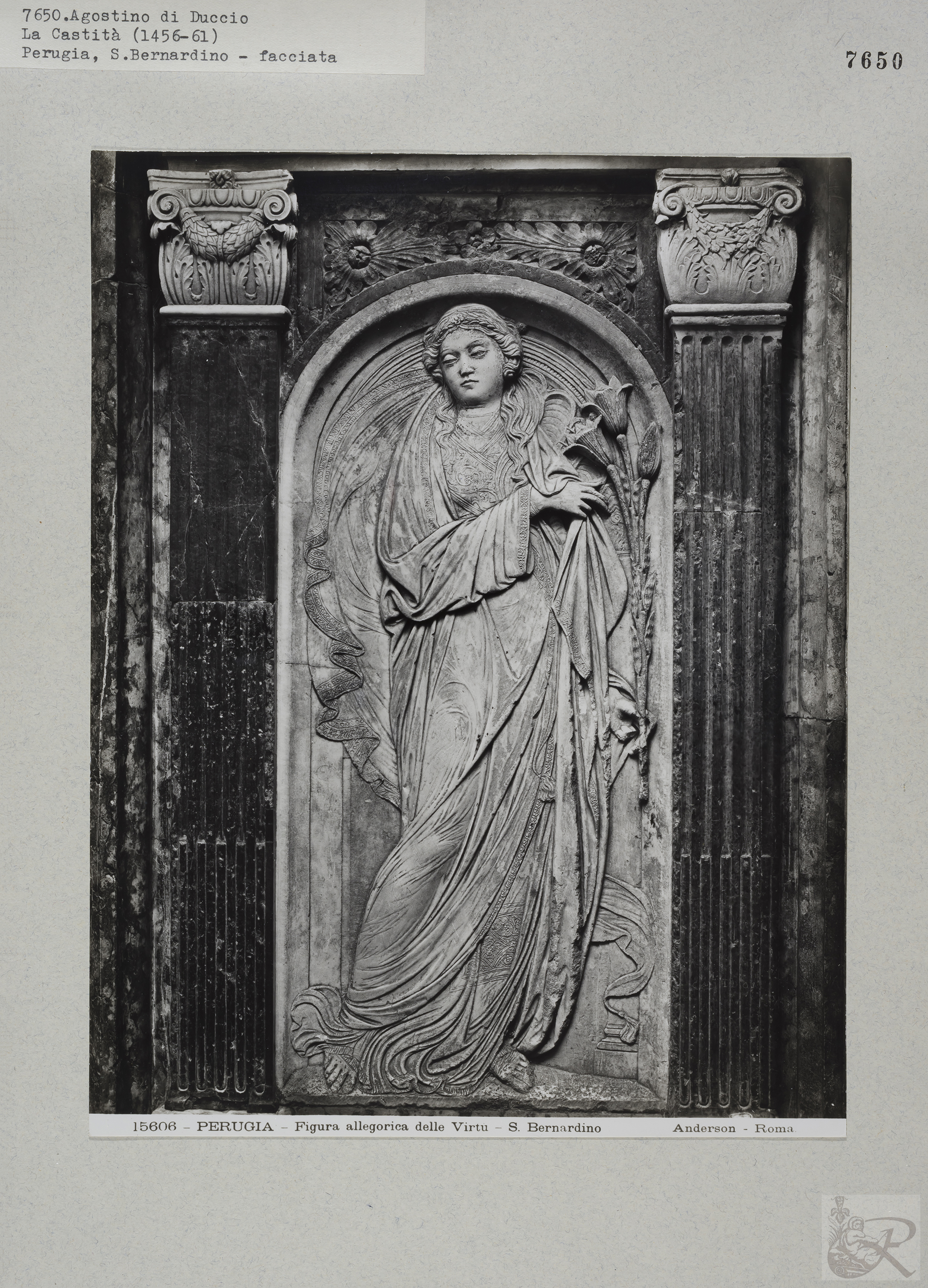 Immagine di anteprima