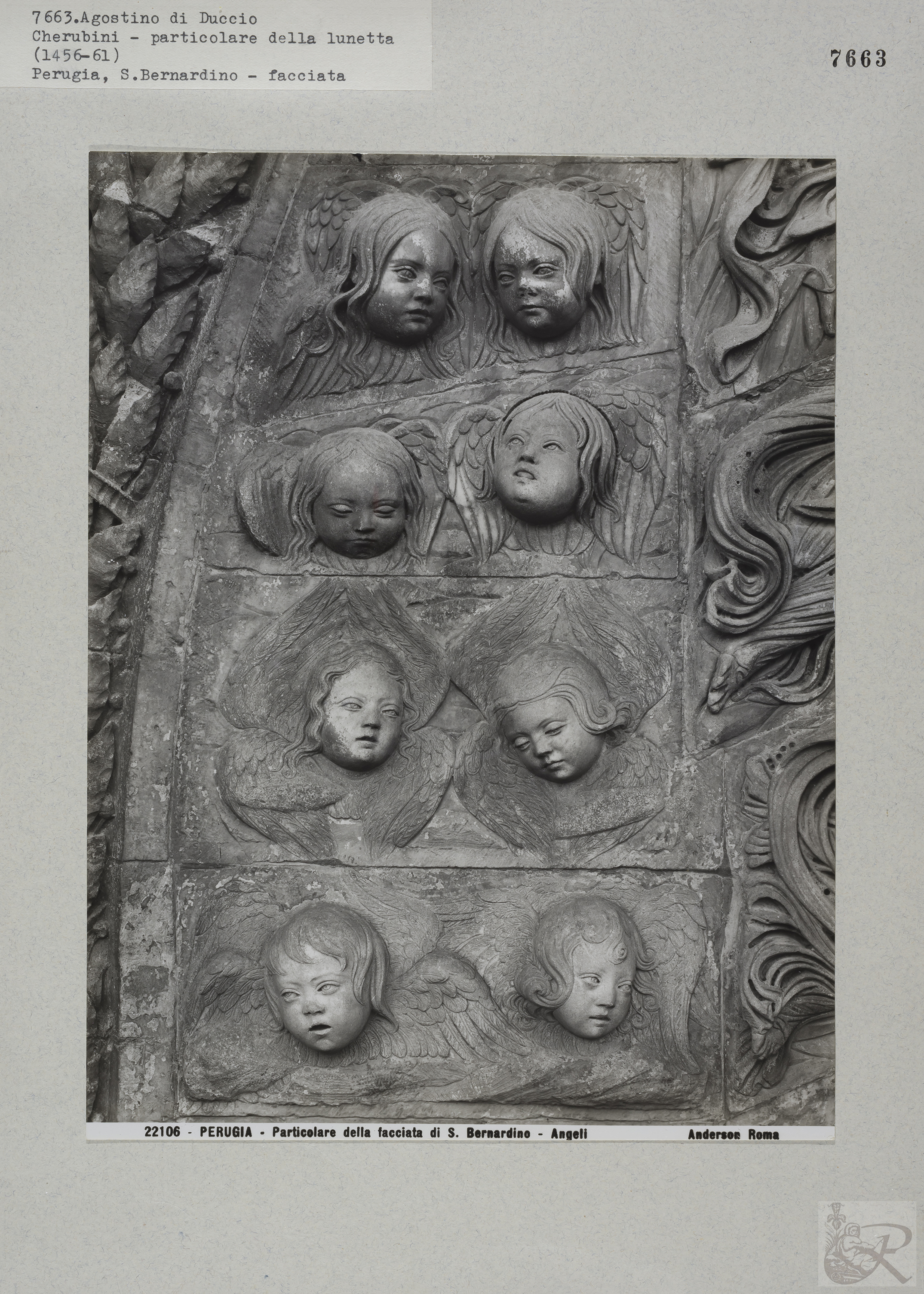 Immagine di anteprima