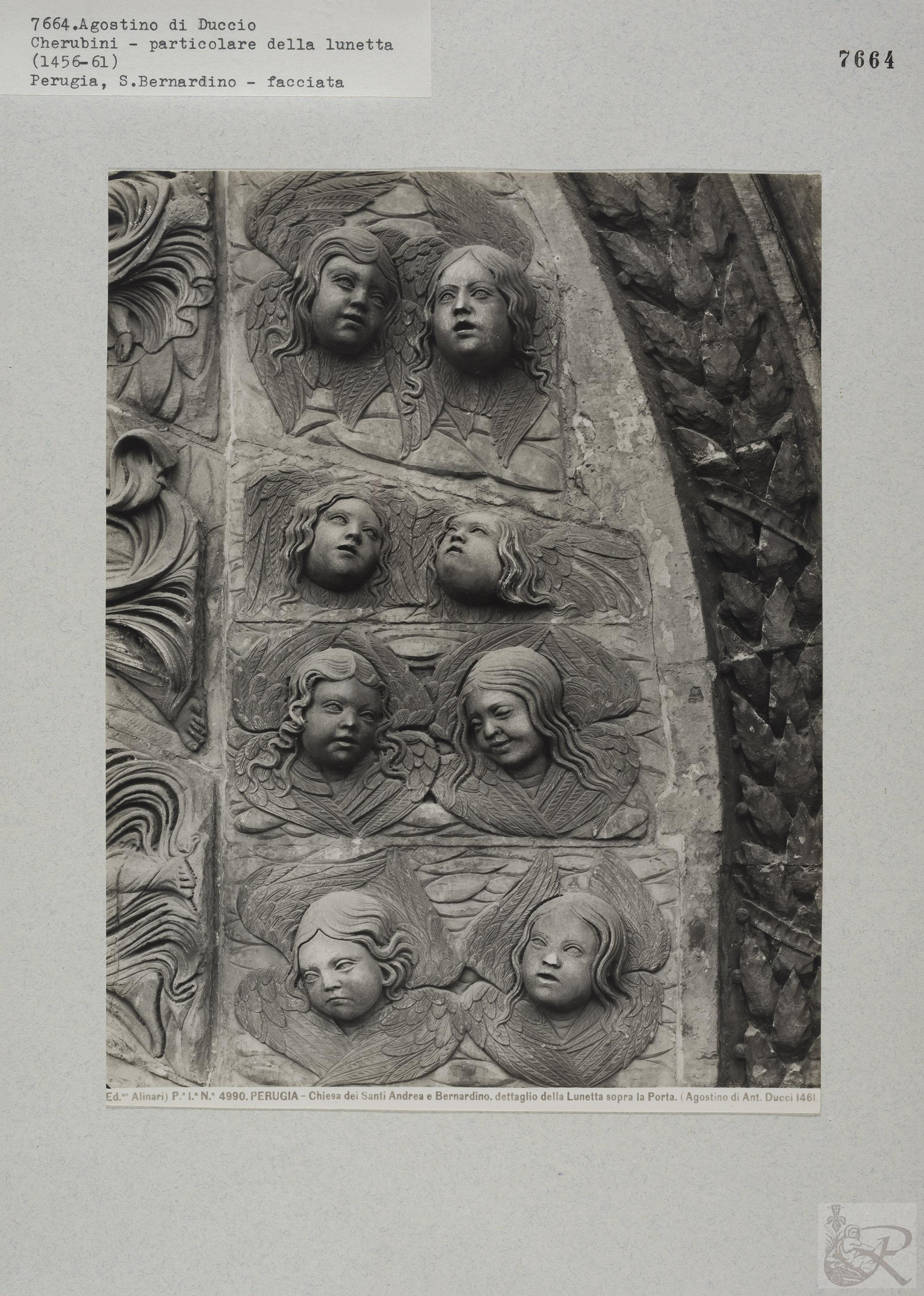 Immagine di anteprima