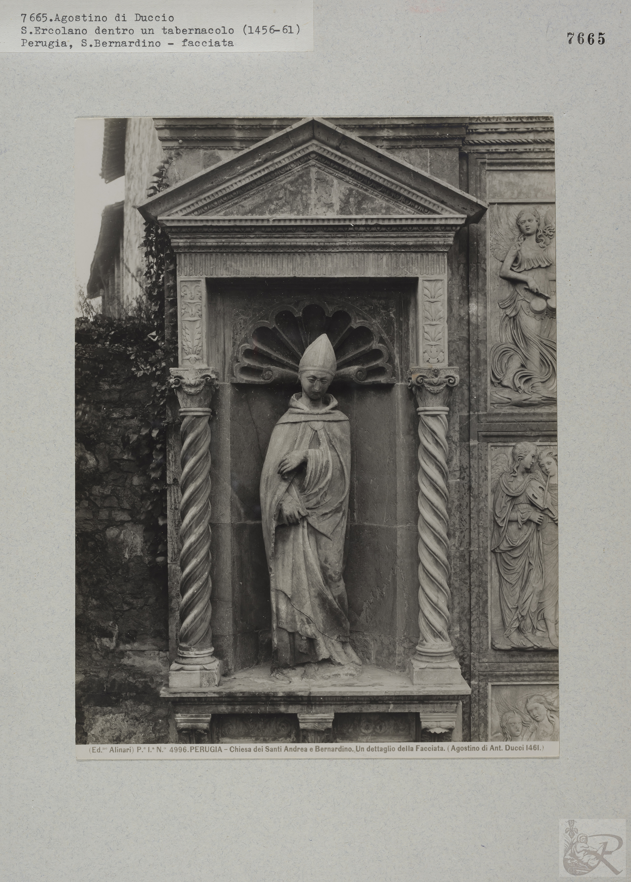 Immagine di anteprima