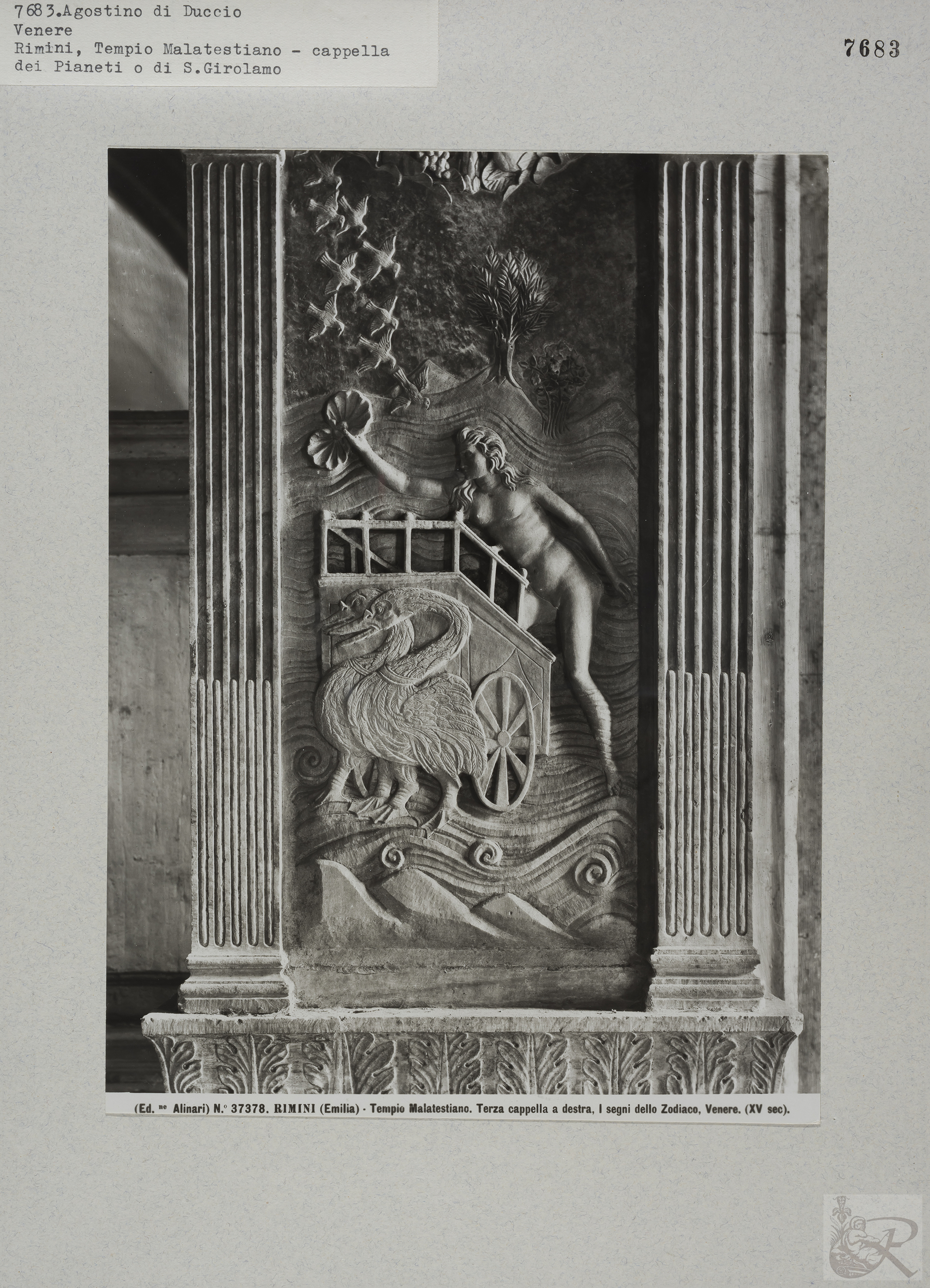 Immagine di anteprima