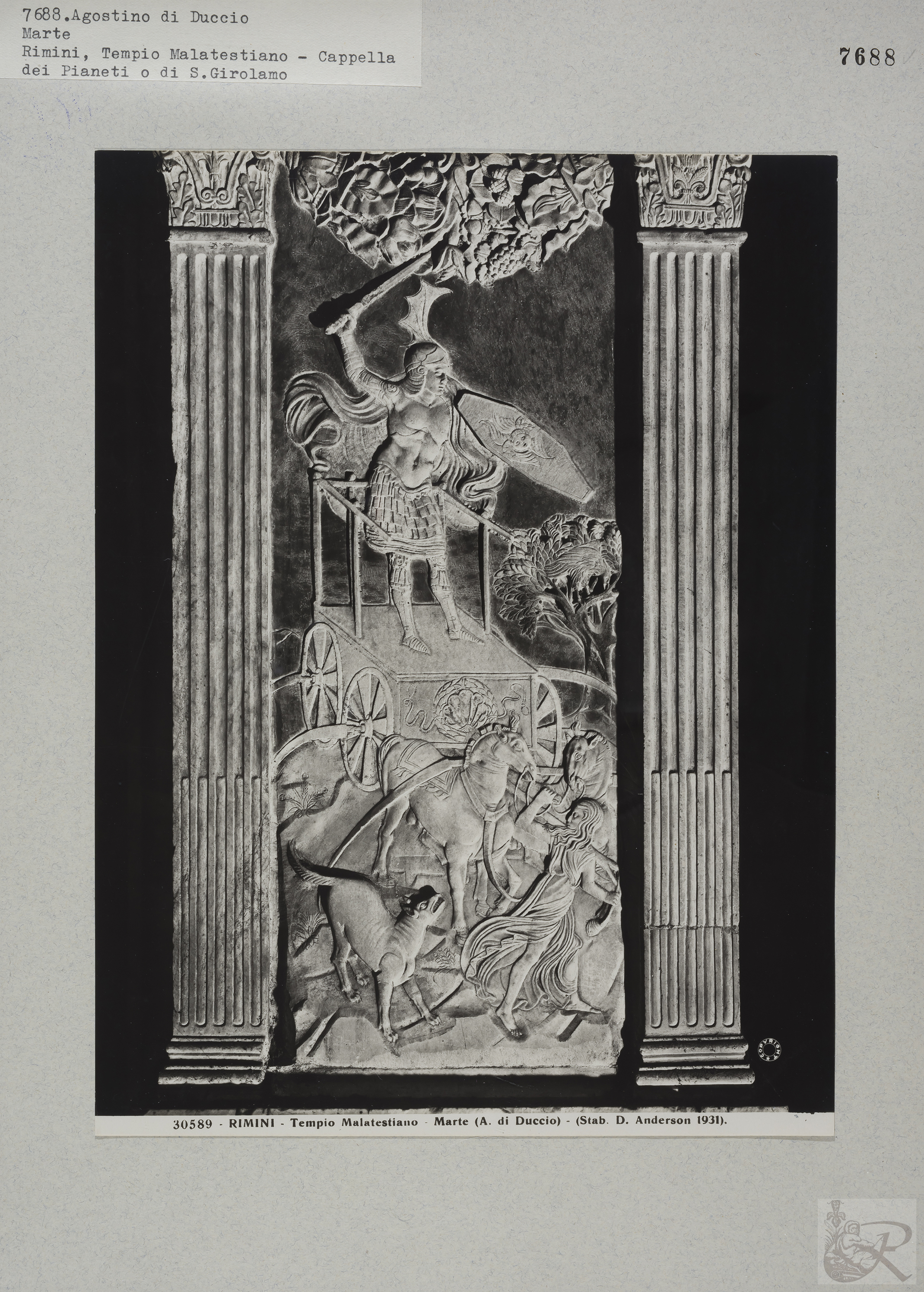 Immagine di anteprima