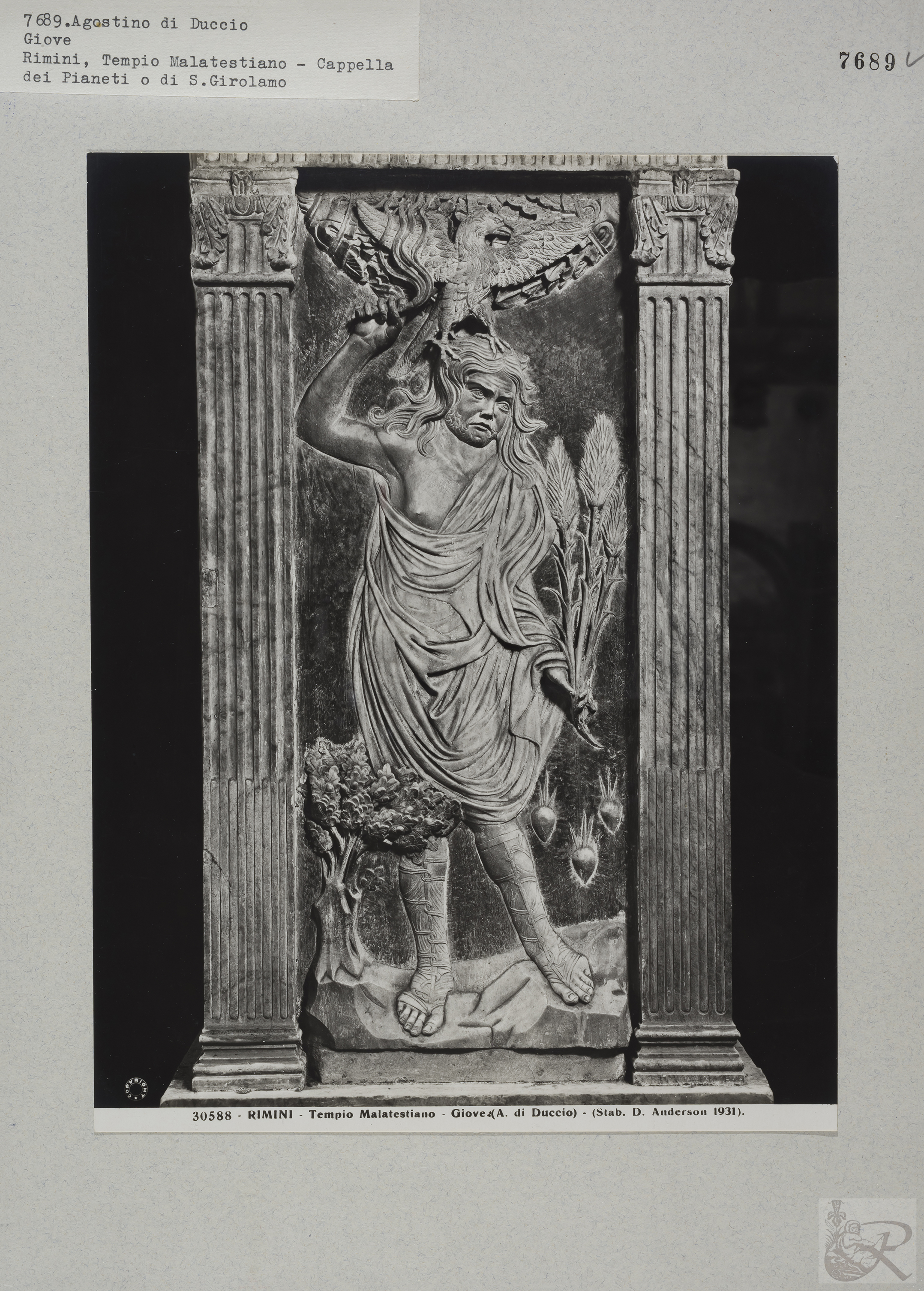 Immagine di anteprima