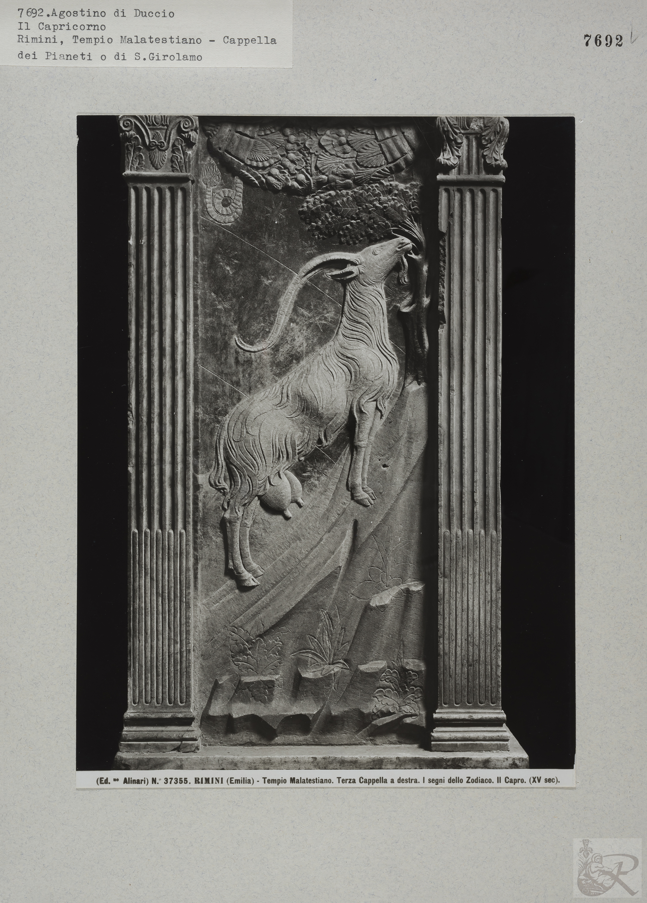 Immagine di anteprima