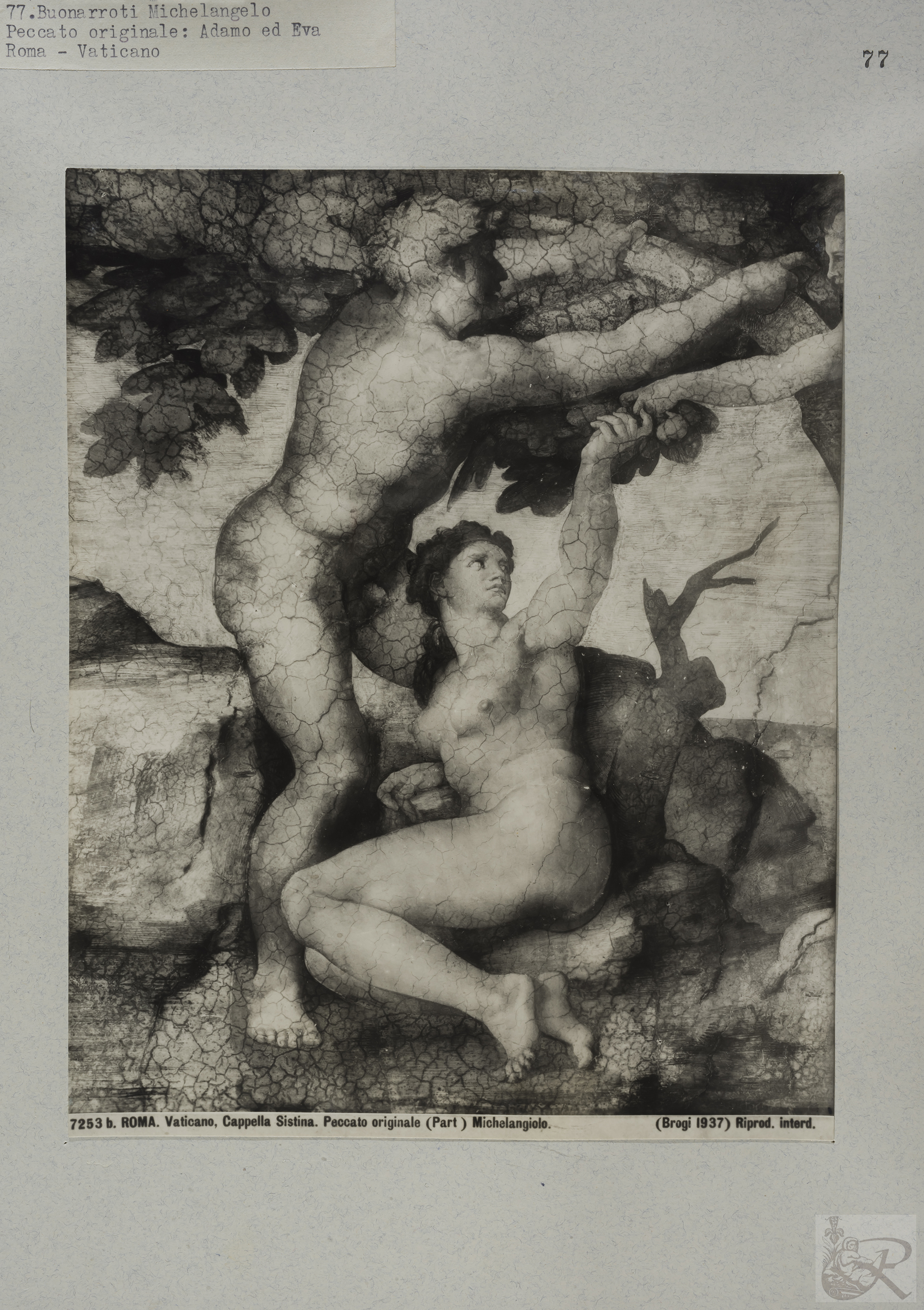 Immagine di anteprima