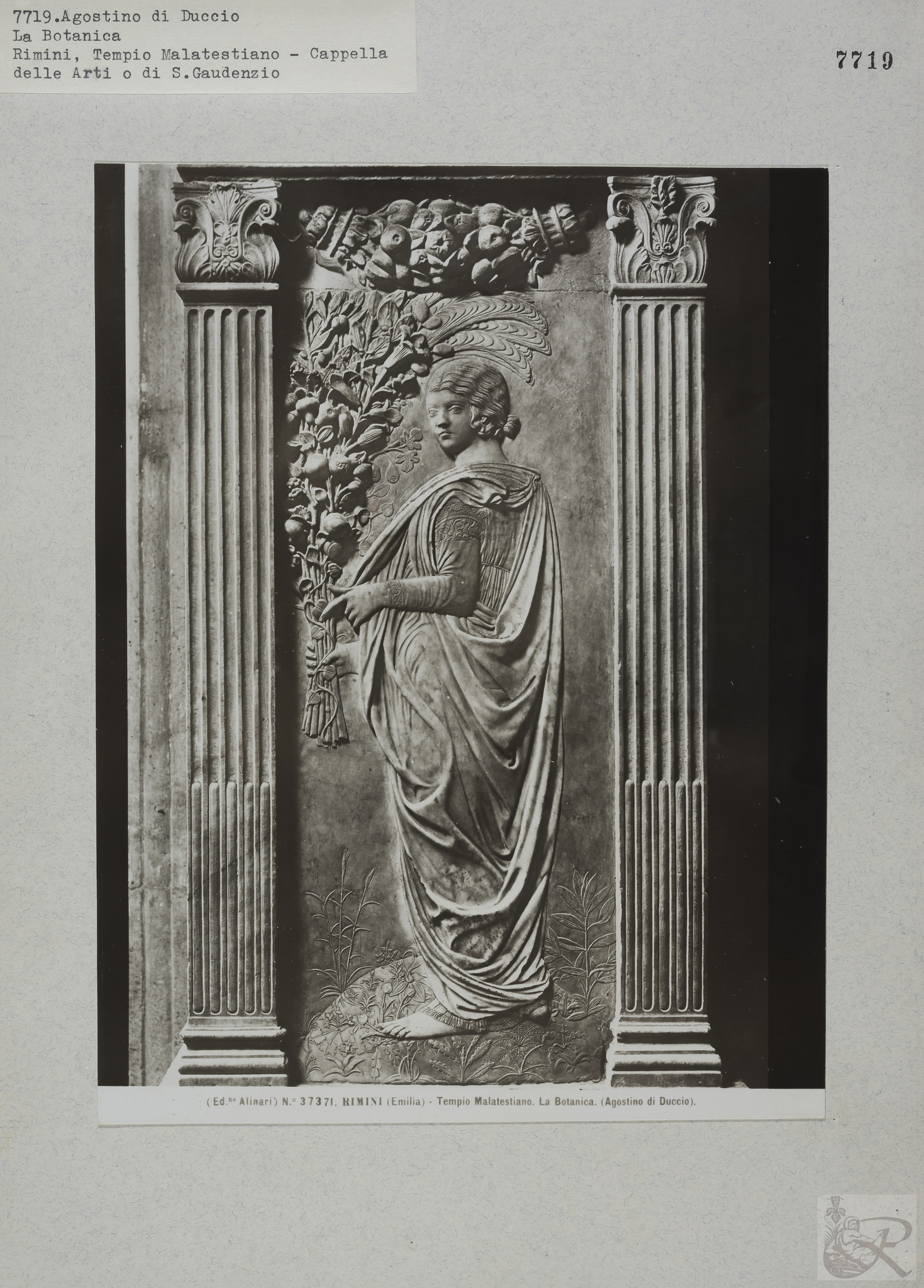 Immagine di anteprima