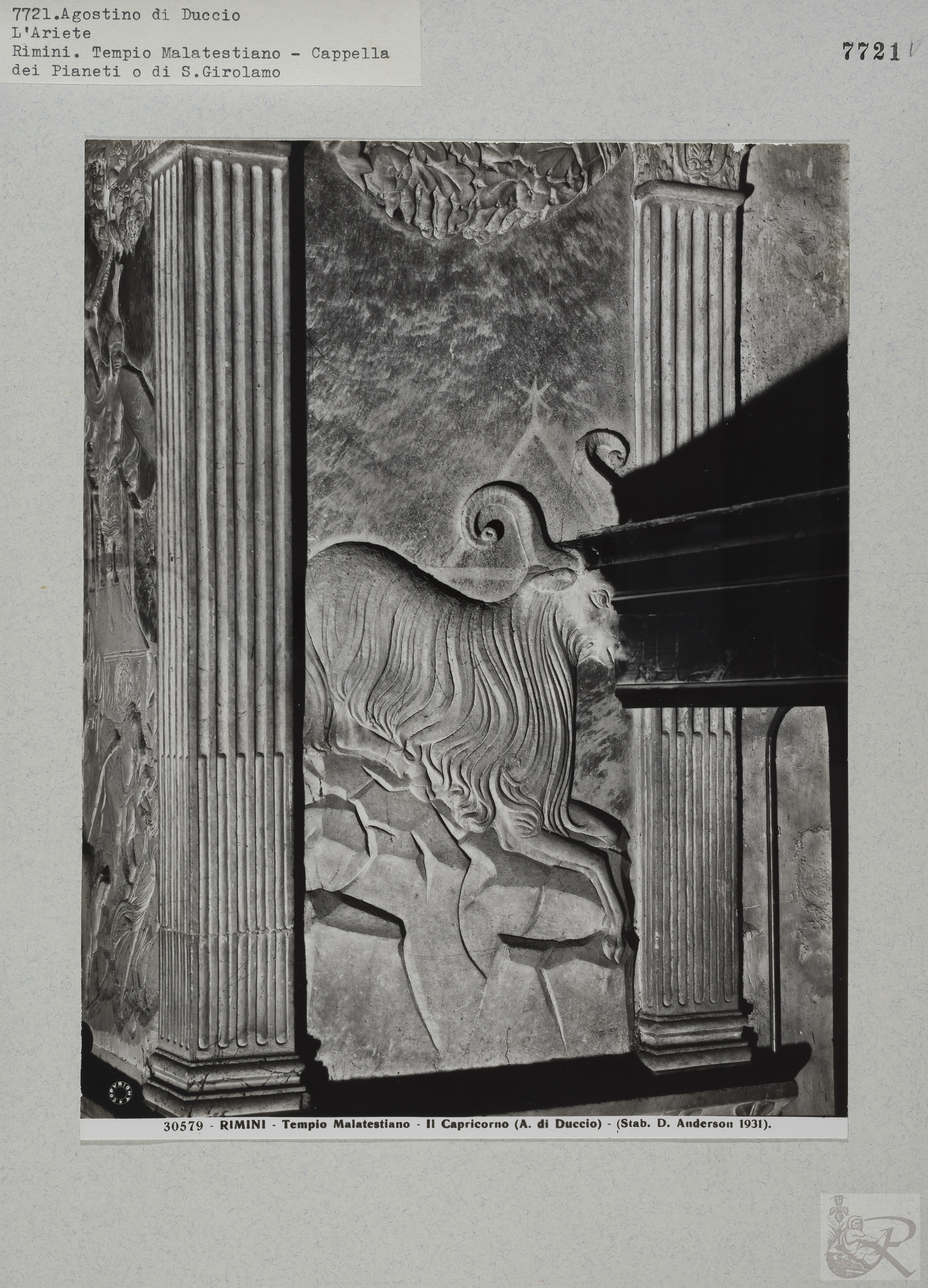 Immagine di anteprima