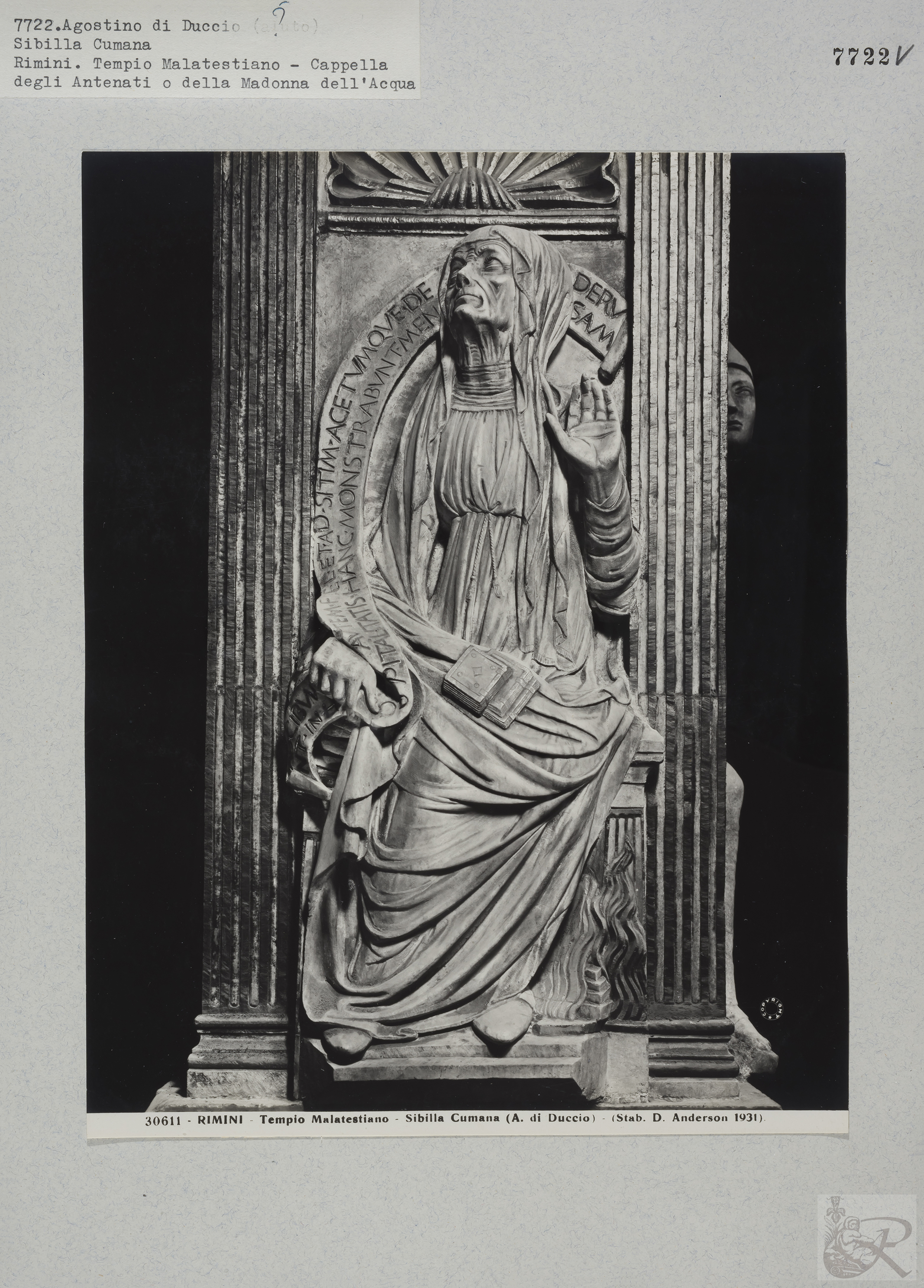 Immagine di anteprima