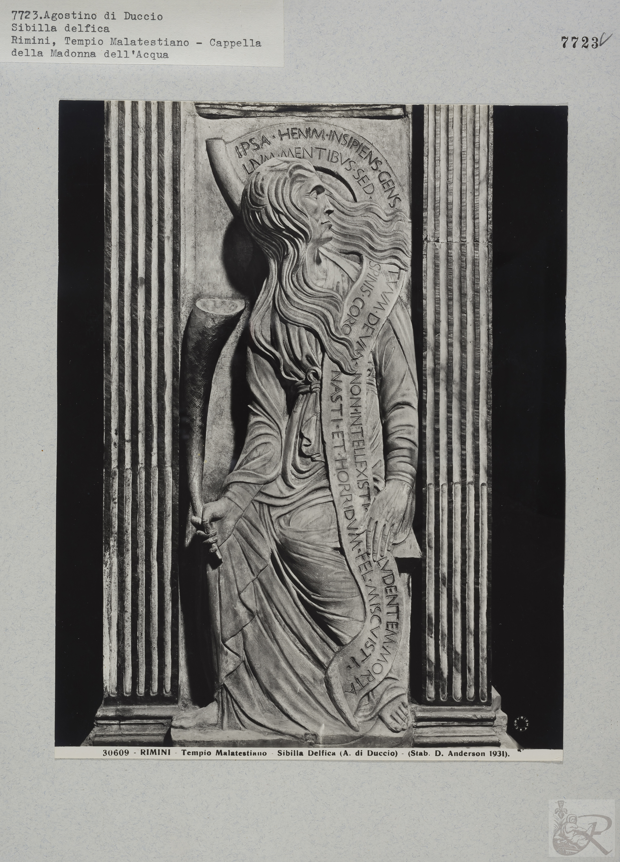 Immagine di anteprima