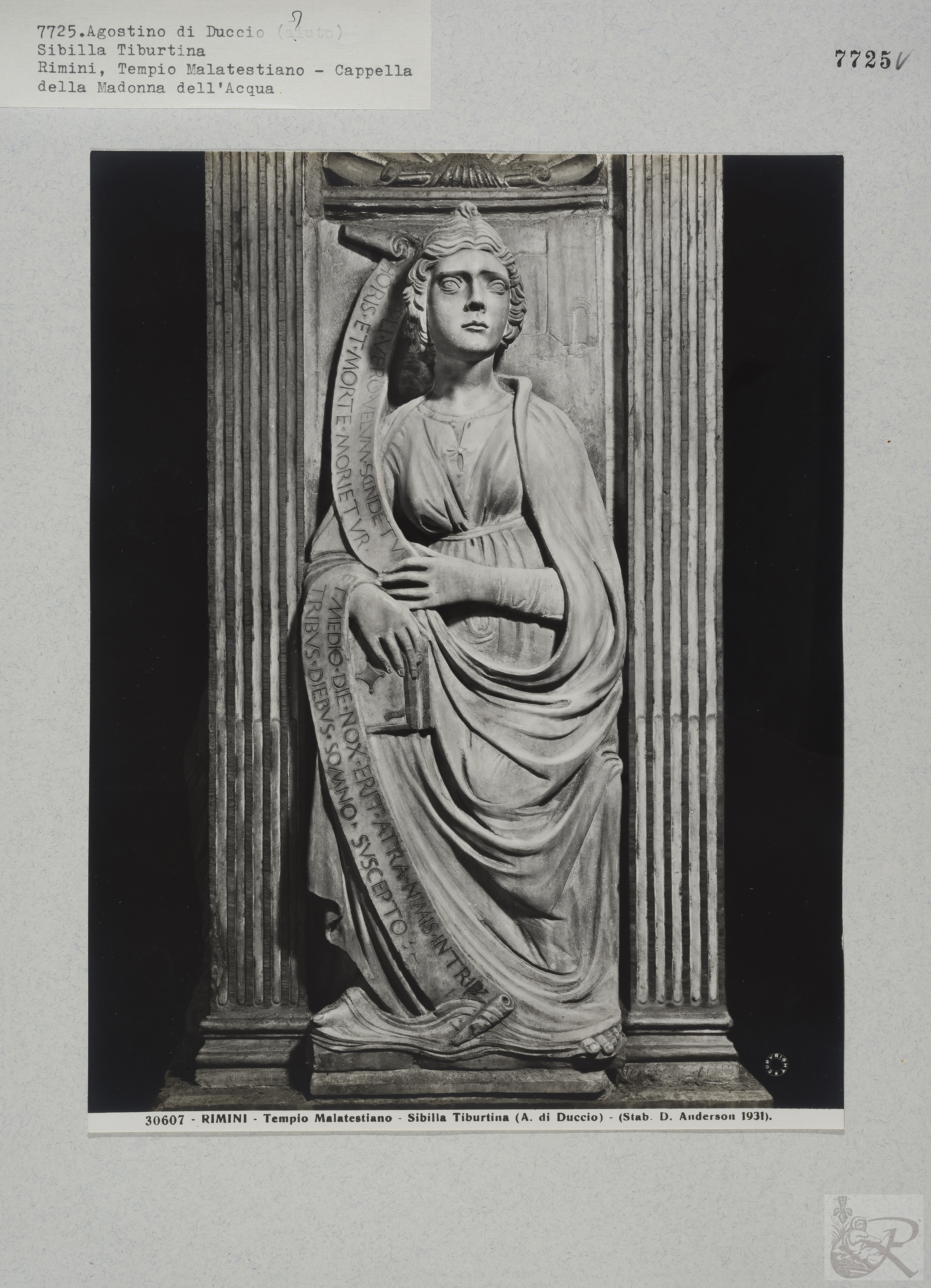 Immagine di anteprima