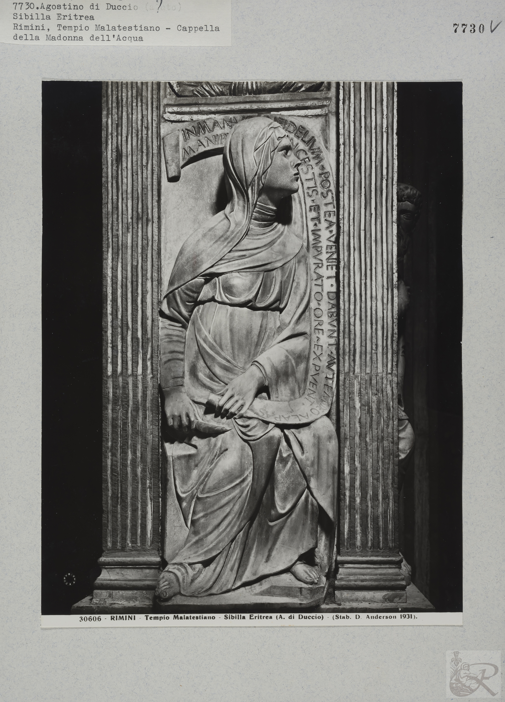 Immagine di anteprima