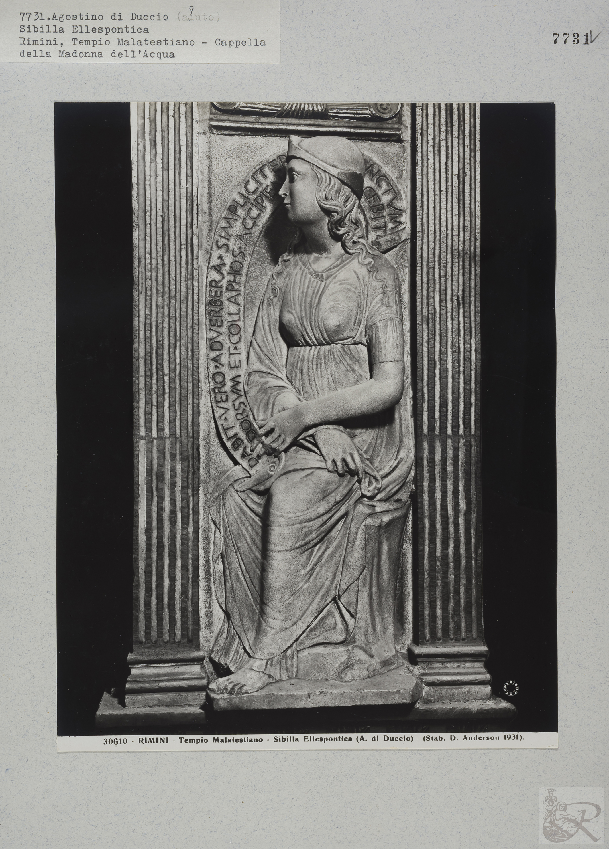 Immagine di anteprima