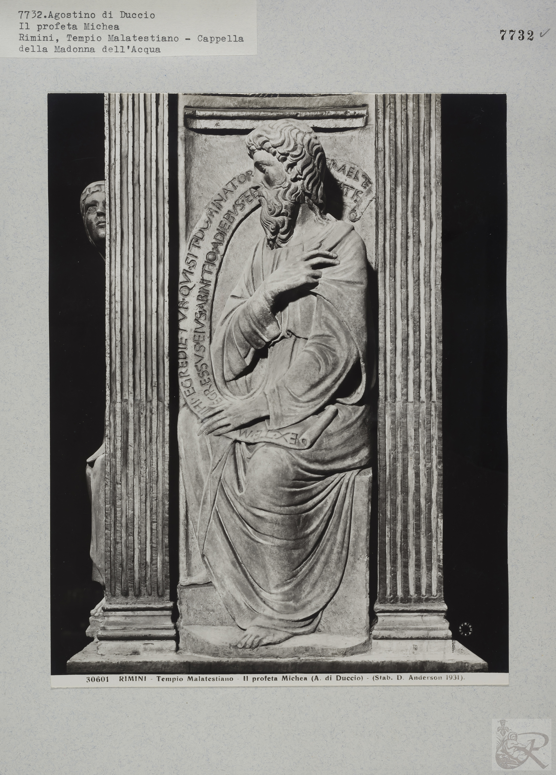 Immagine di anteprima