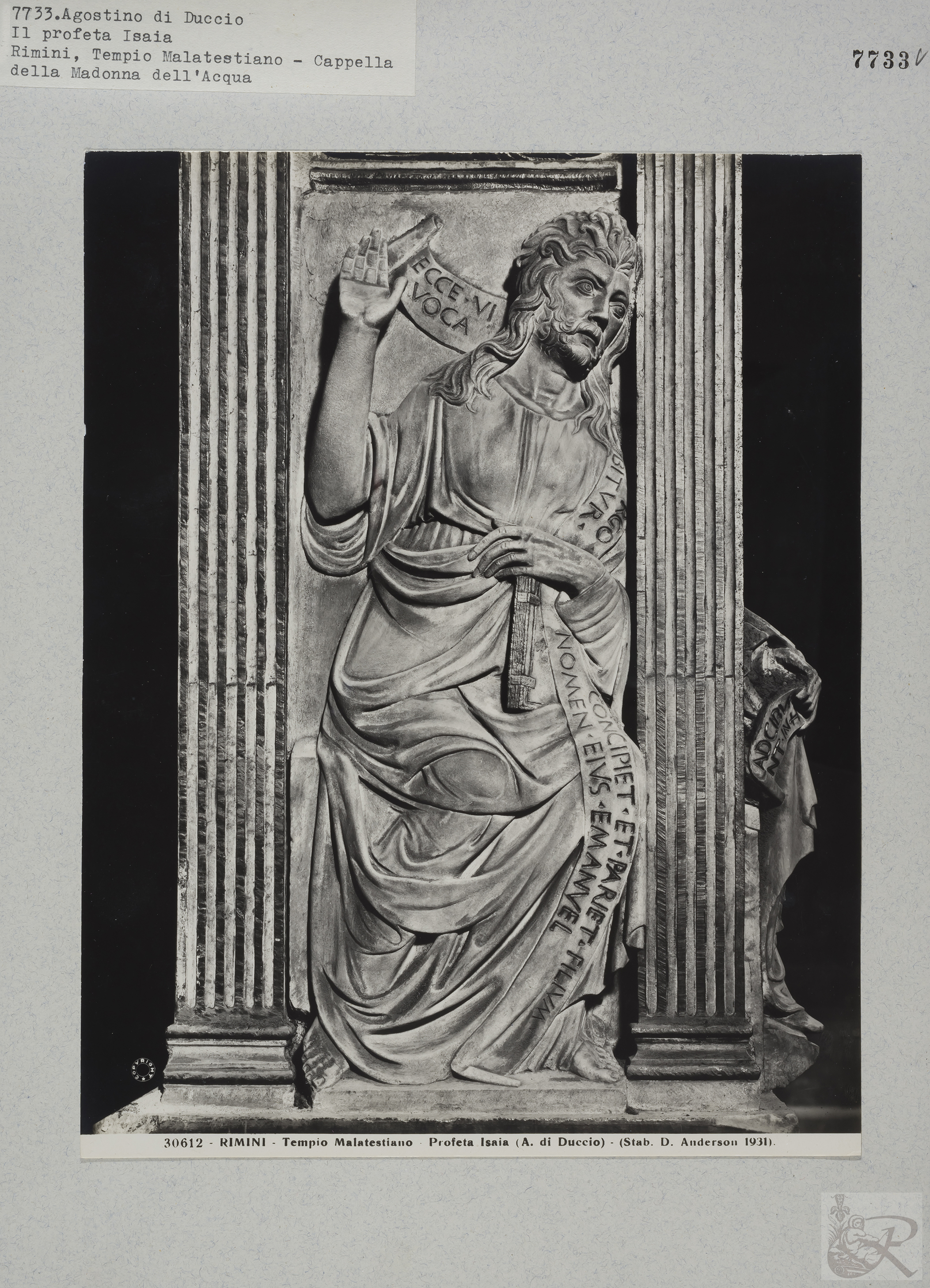 Immagine di anteprima