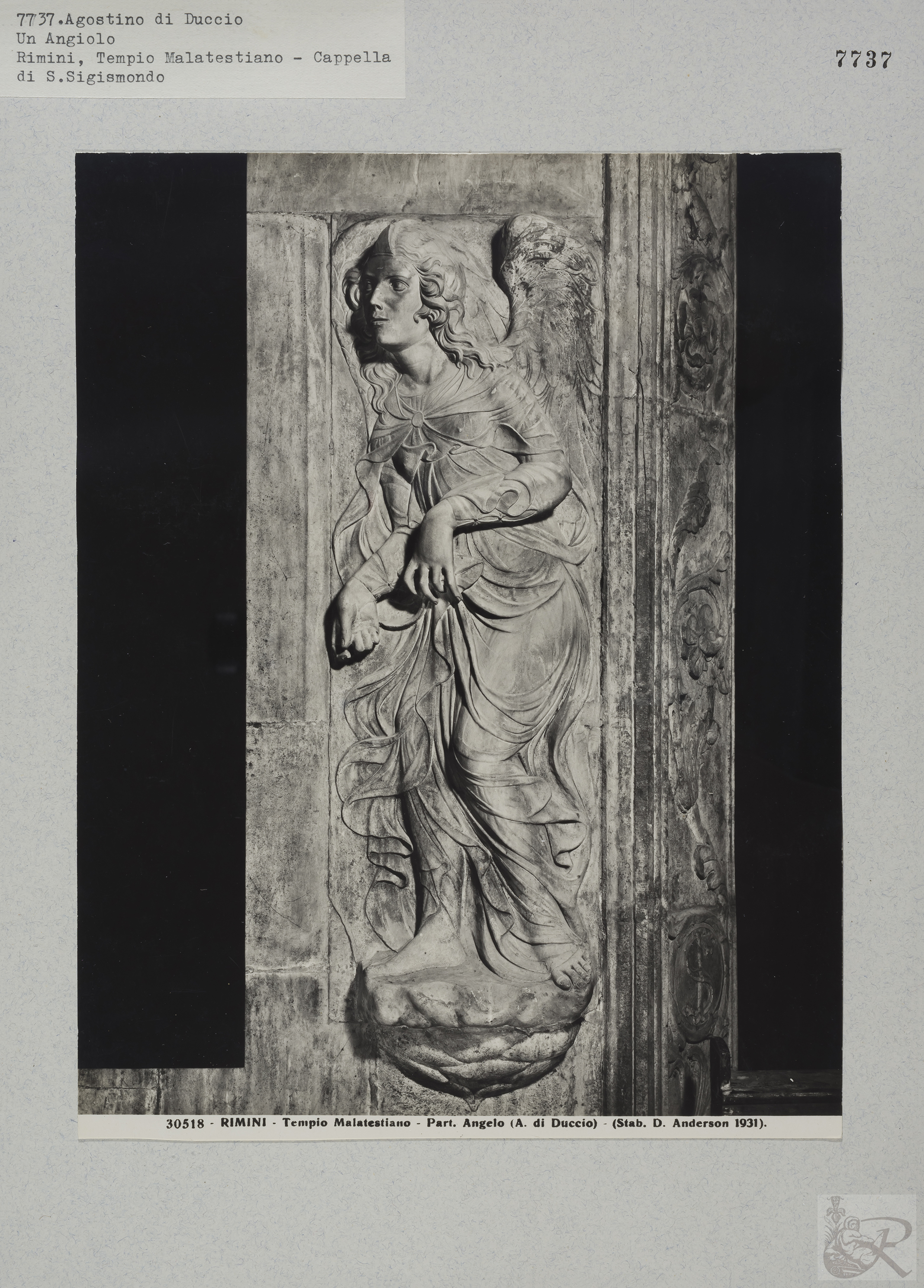 Immagine di anteprima